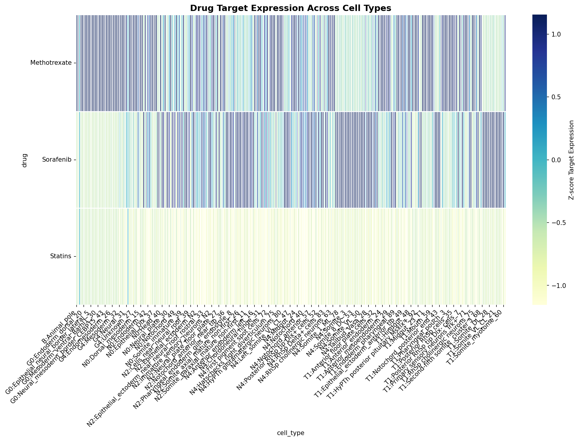 Drug Target Expression Heatmap
