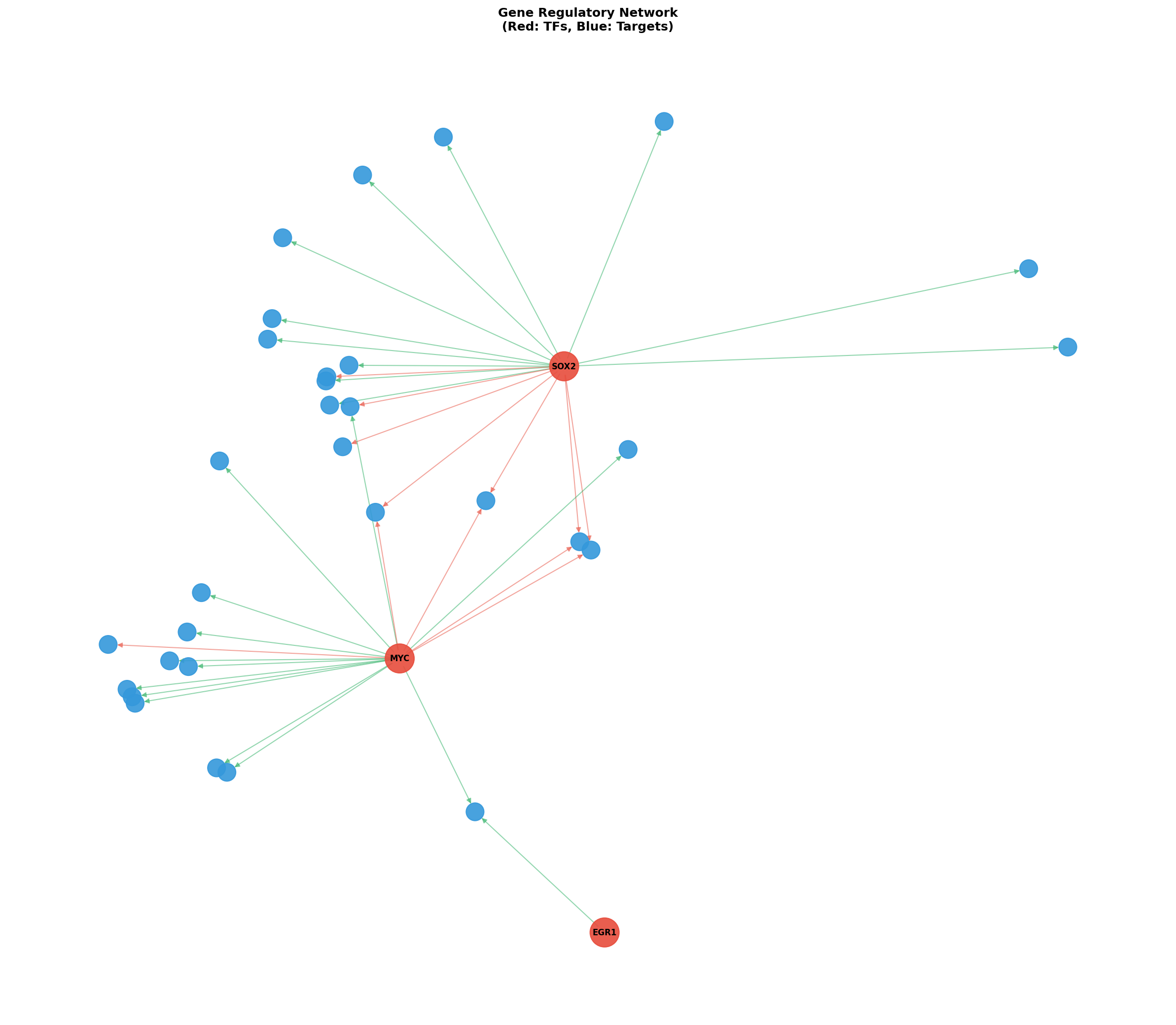Exploratory TF-Target Association Network