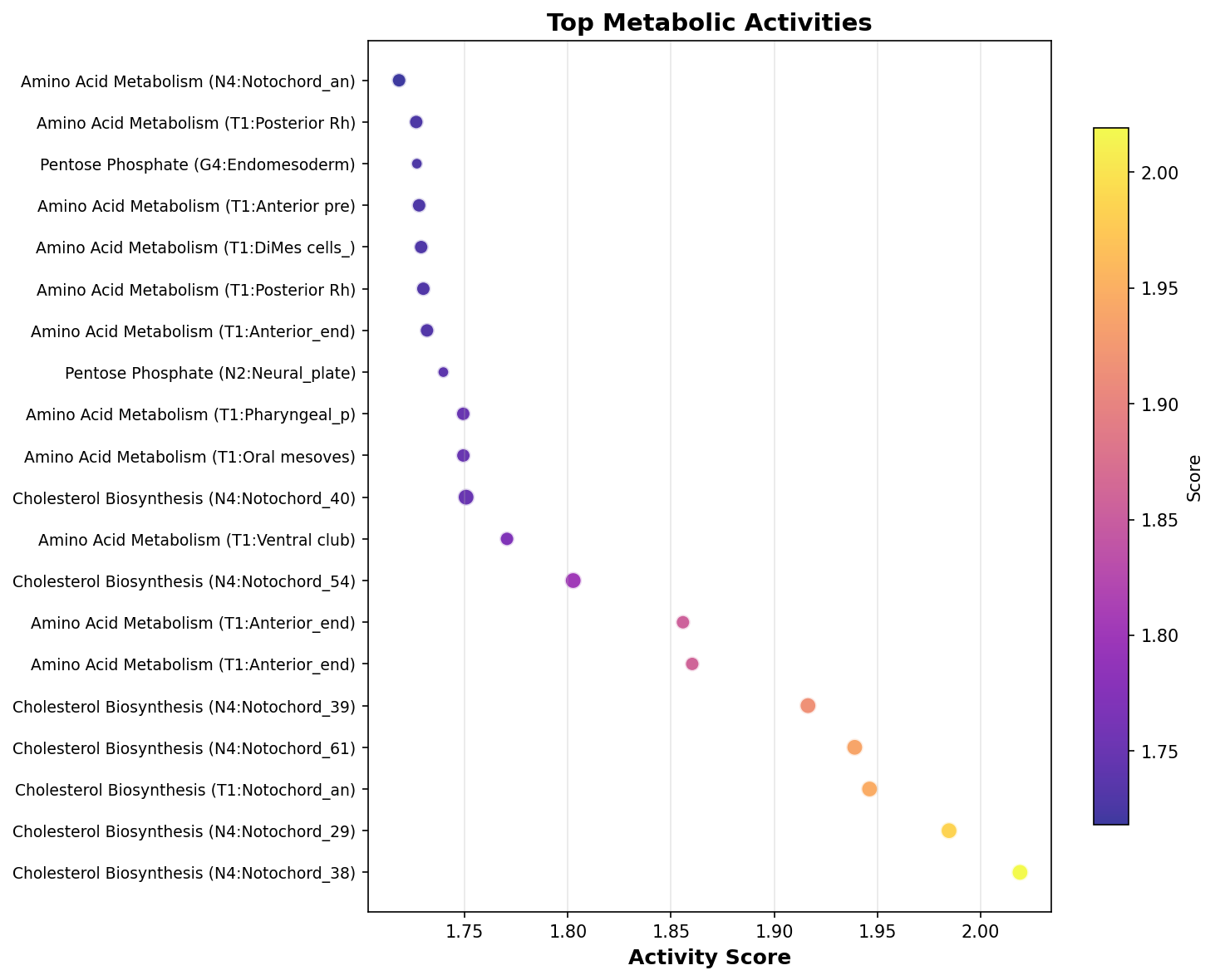 Top Metabolic Activities