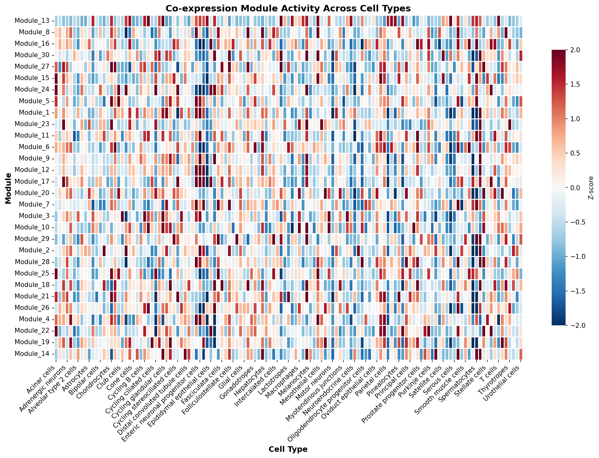 Module-Cell Type Association