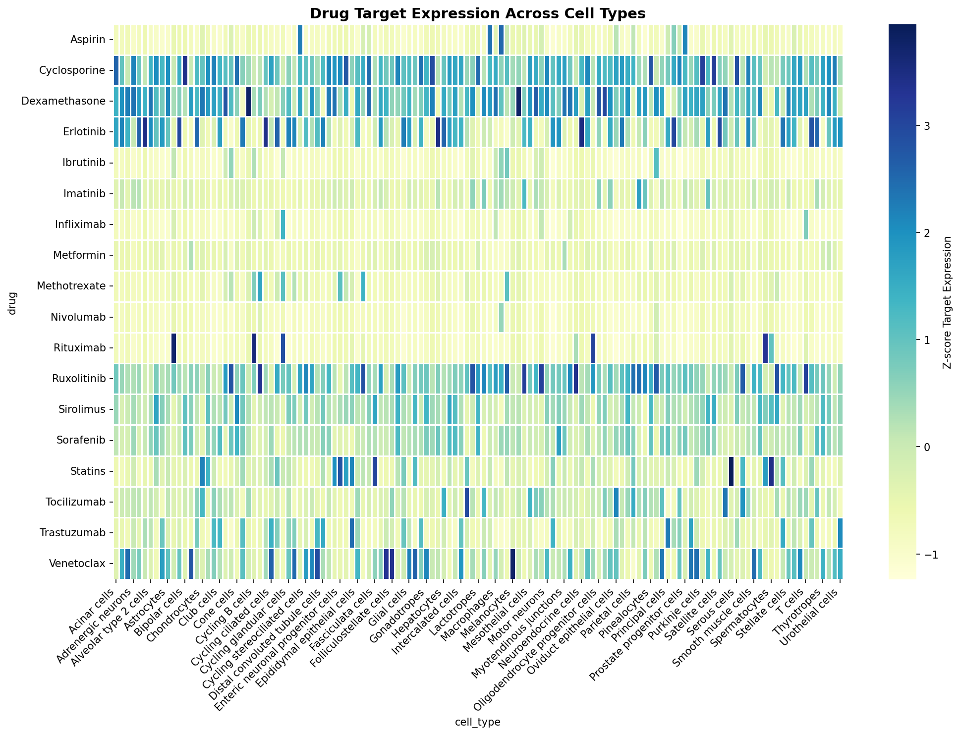 Drug Target Expression Heatmap