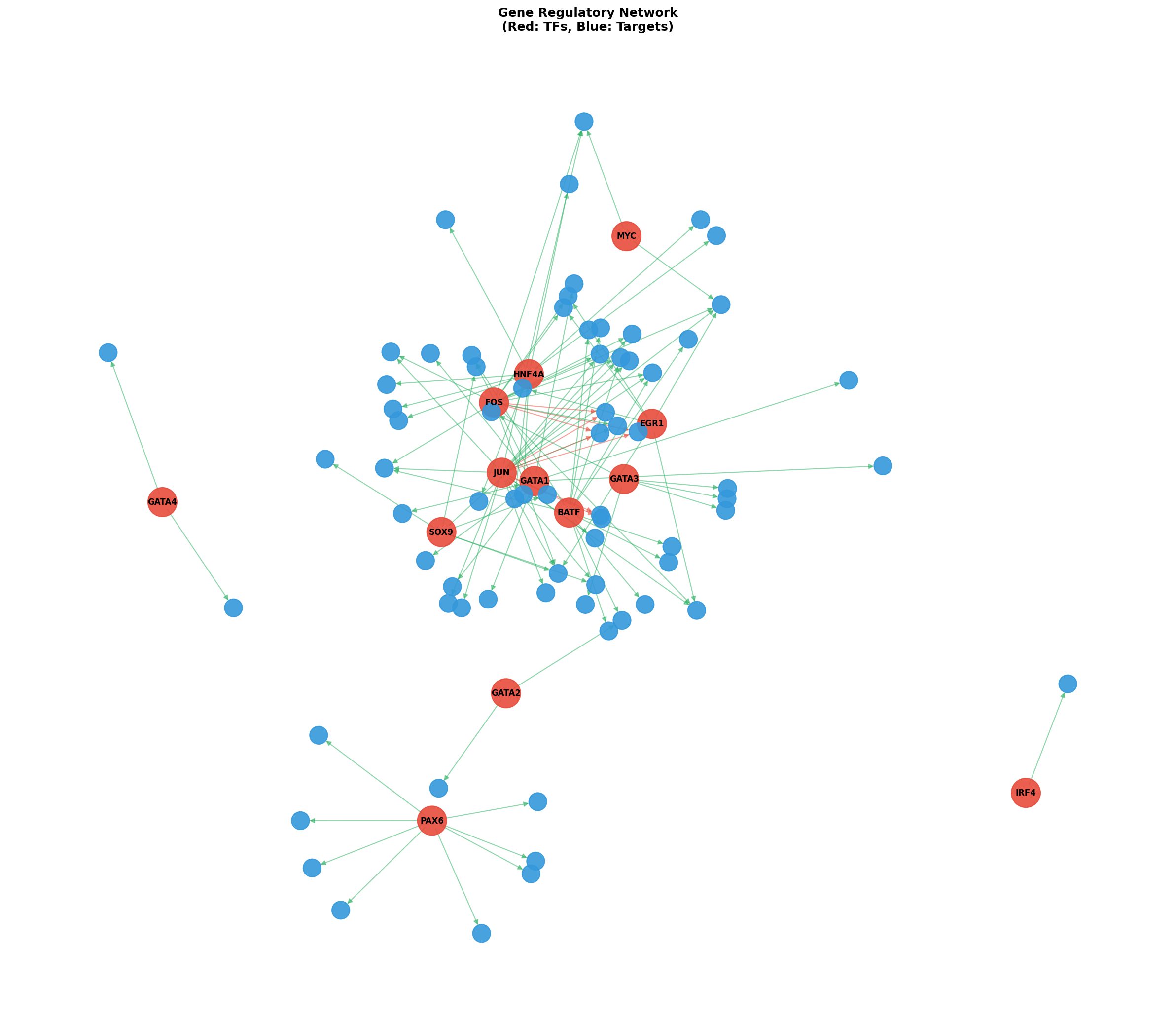 Exploratory TF-Target Association Network