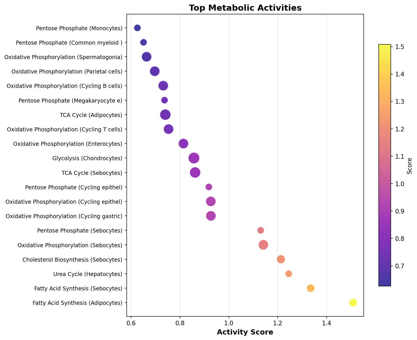 Top Metabolic Activities