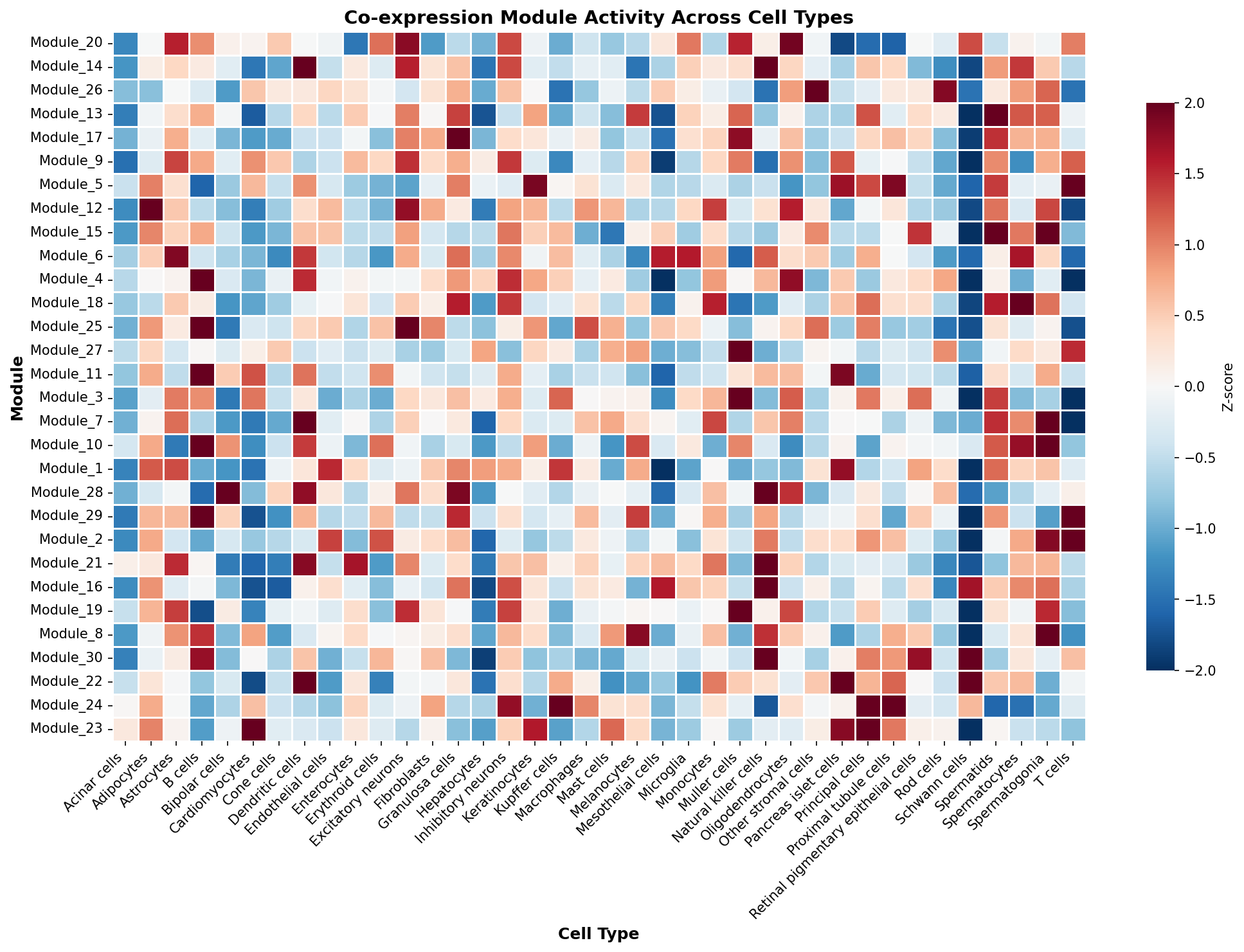Module-Cell Type Association
