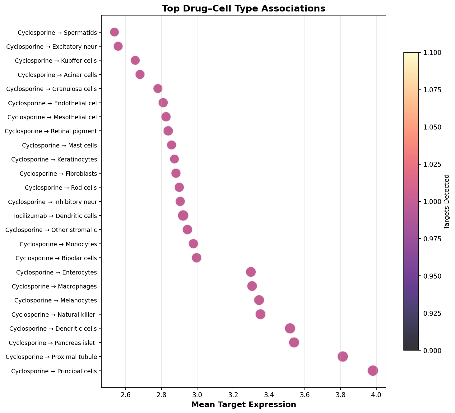 Top Drug–Cell Type Associations