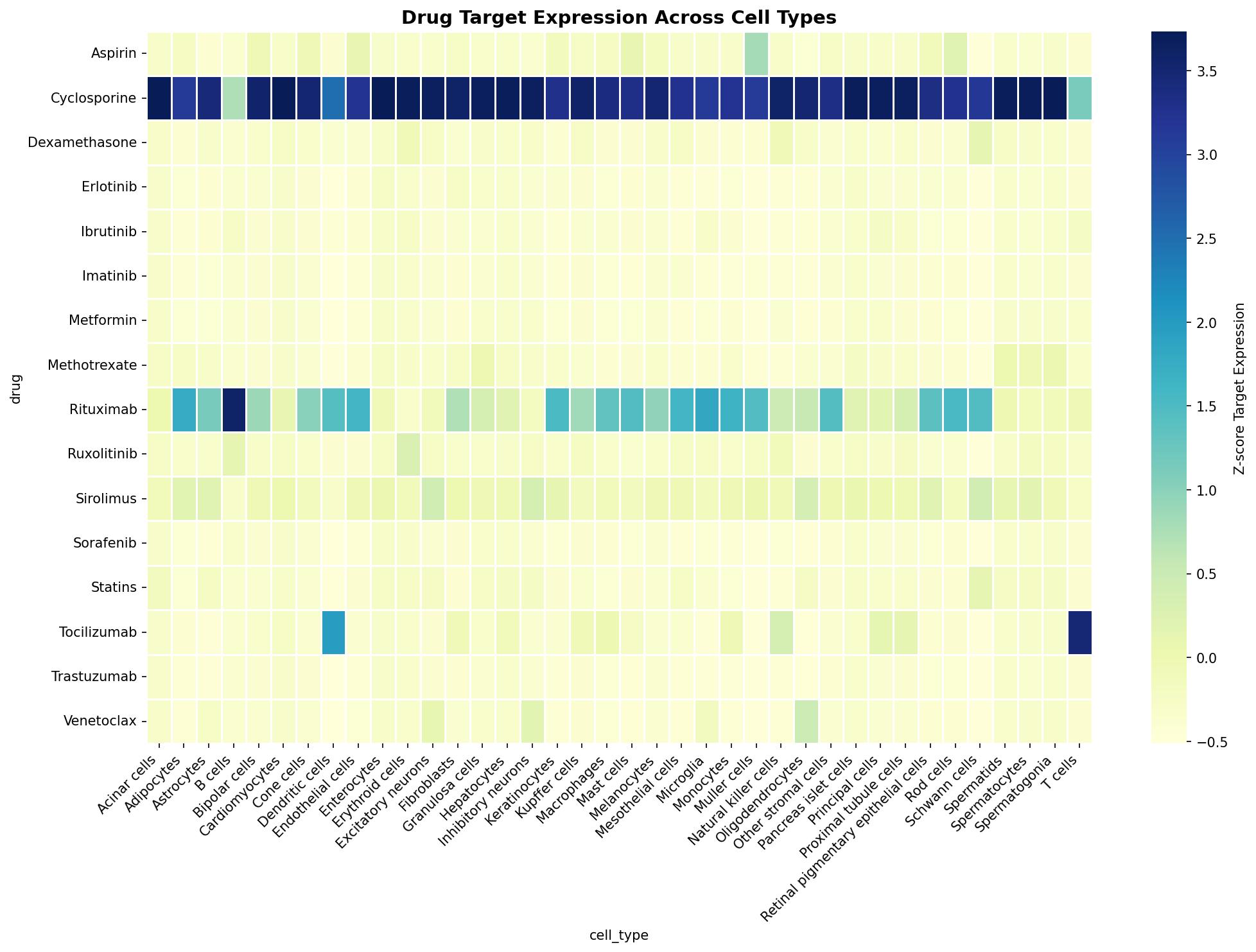 Drug Target Expression Heatmap