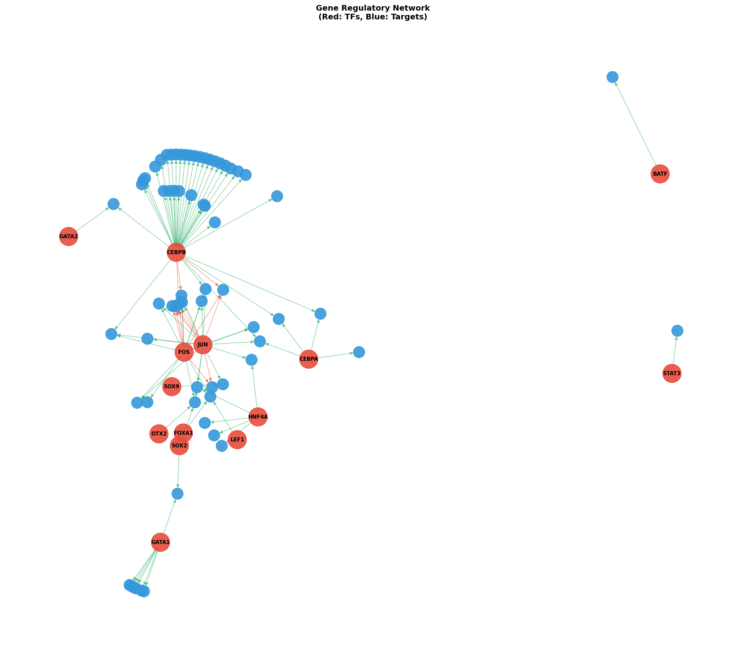 Exploratory TF-Target Association Network