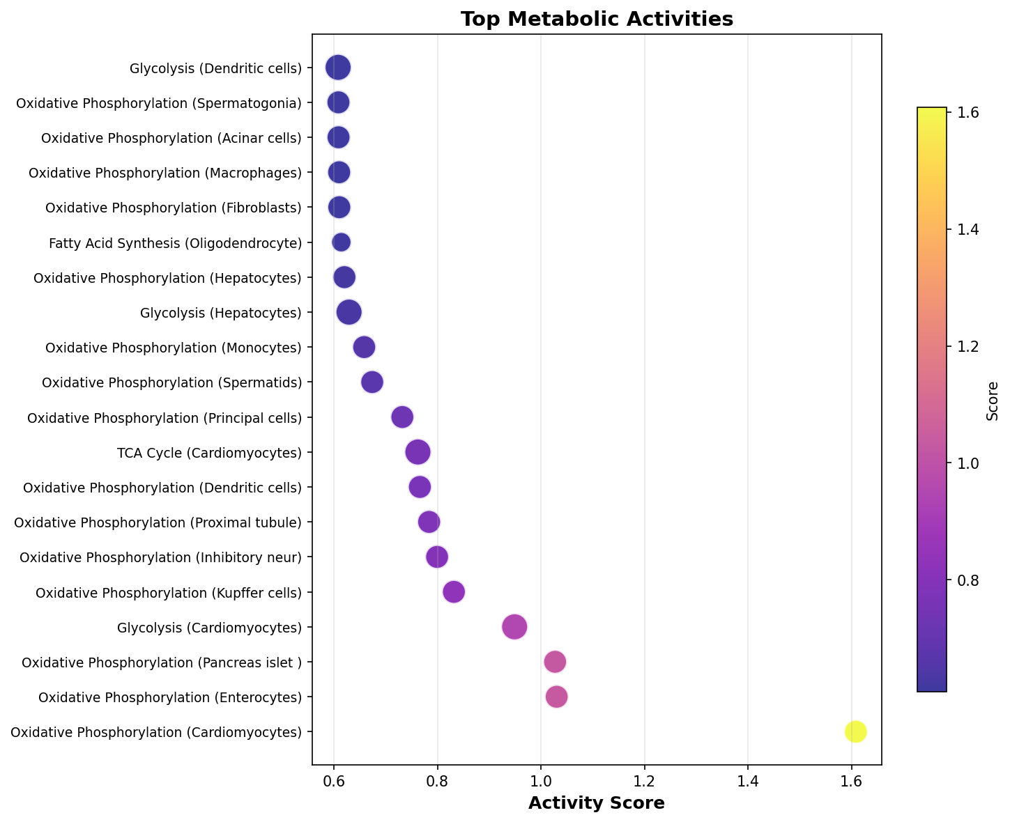 Top Metabolic Activities