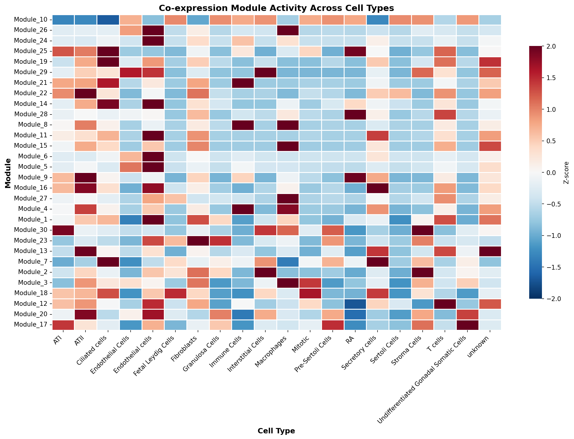 Module-Cell Type Association