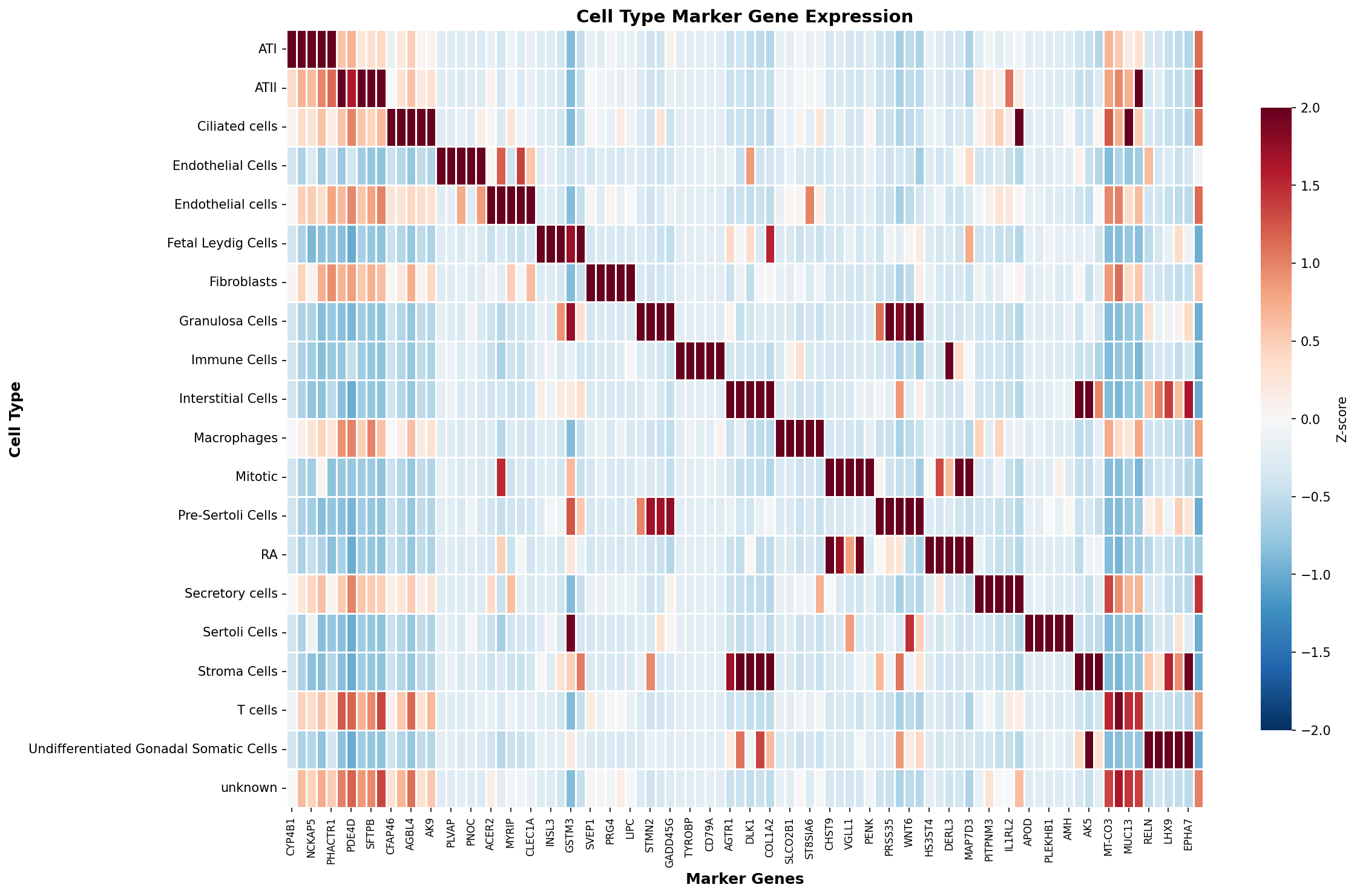 Marker Gene Heatmap