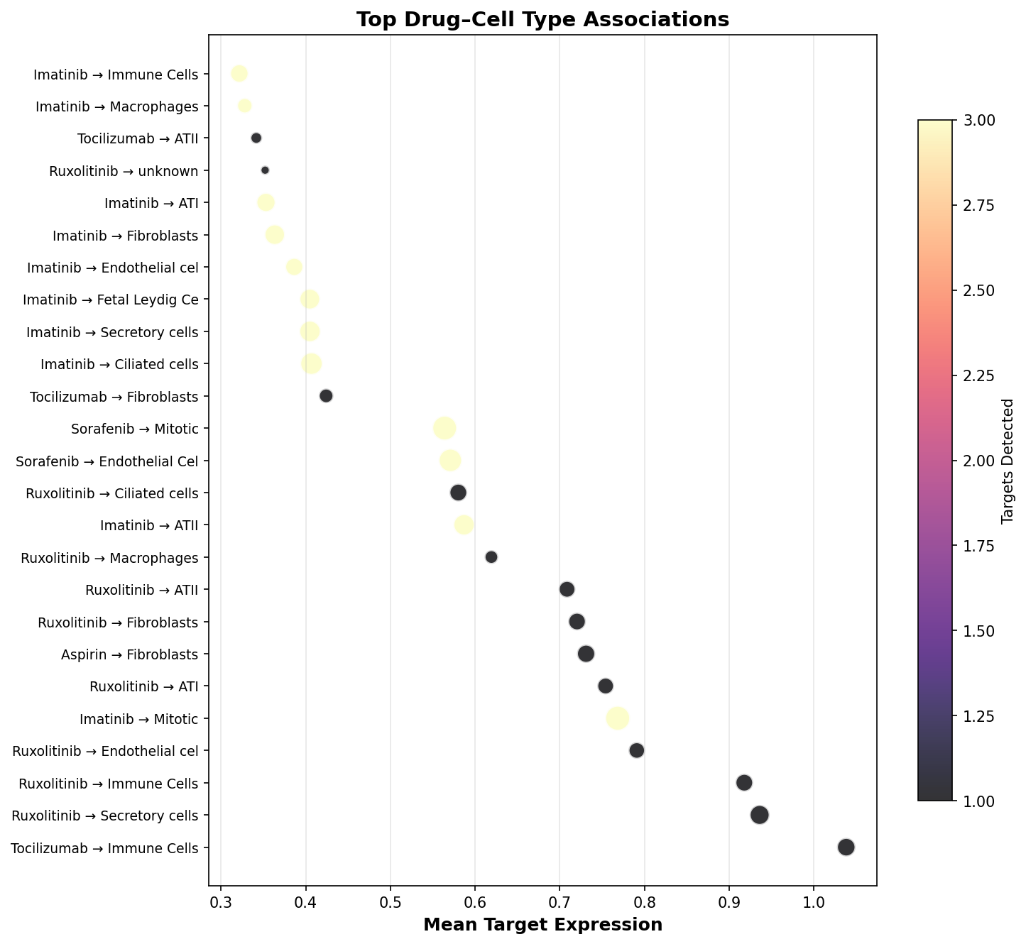 Top Drug–Cell Type Associations