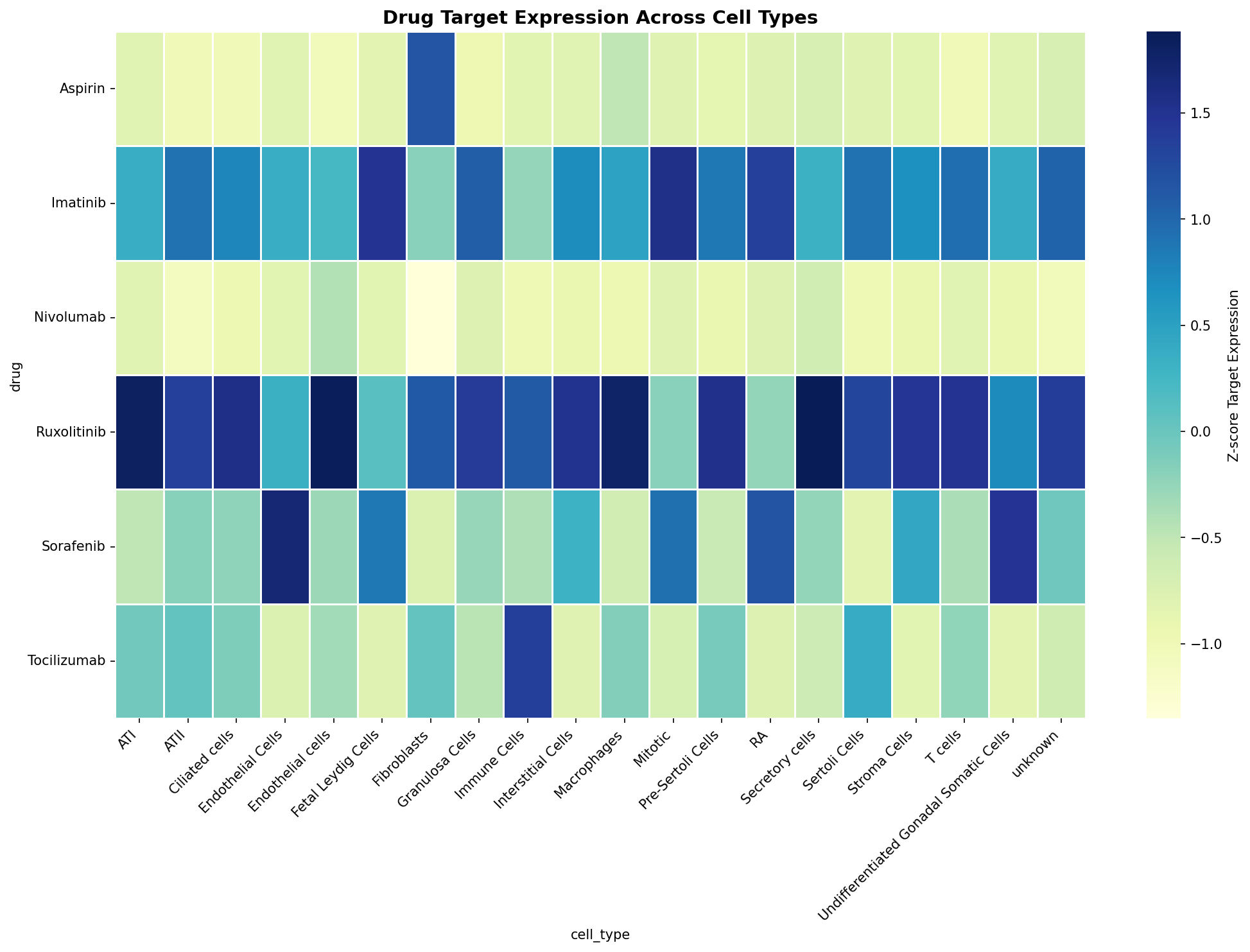 Drug Target Expression Heatmap