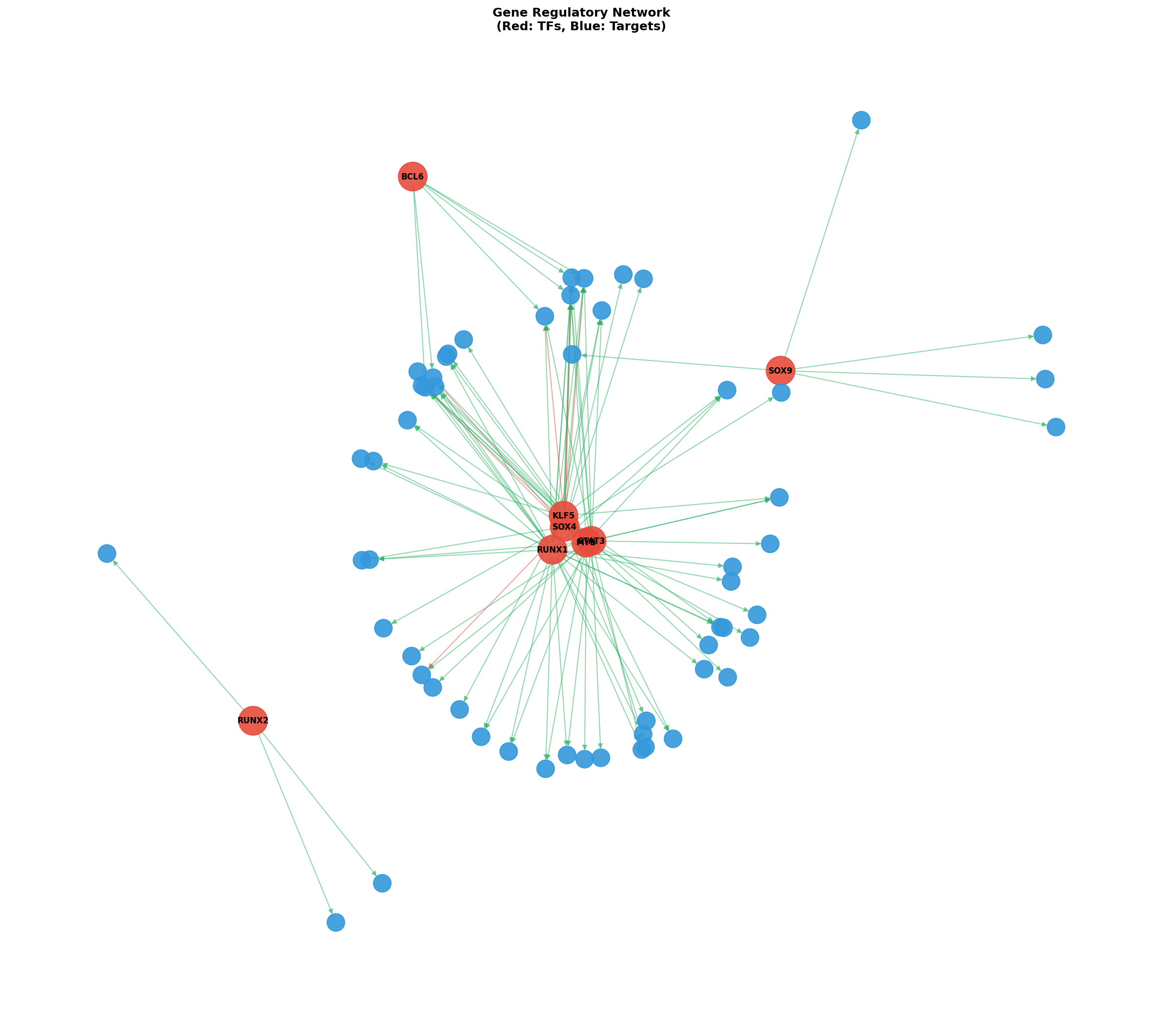 Exploratory TF-Target Association Network