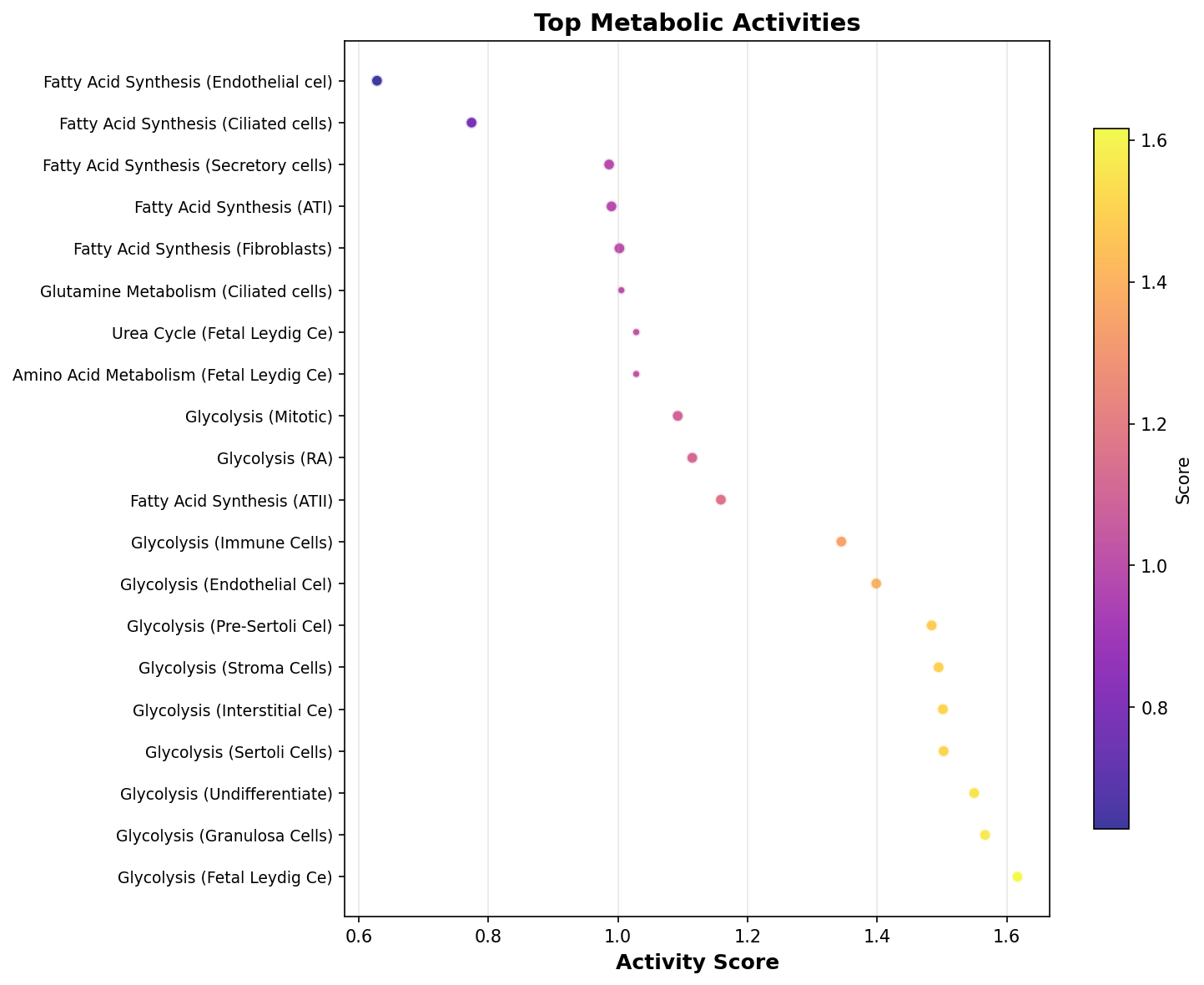 Top Metabolic Activities