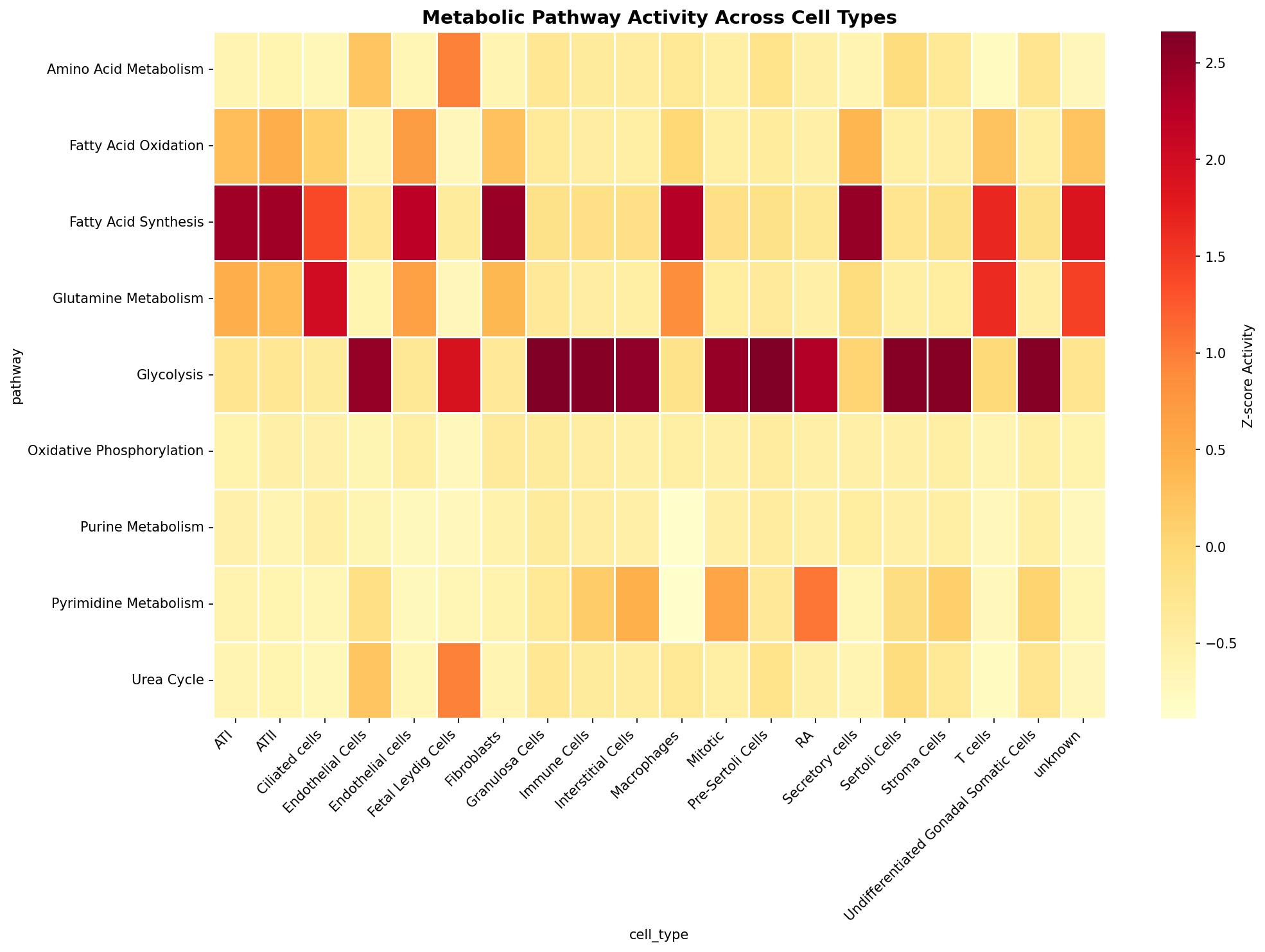 Metabolic Pathway Heatmap