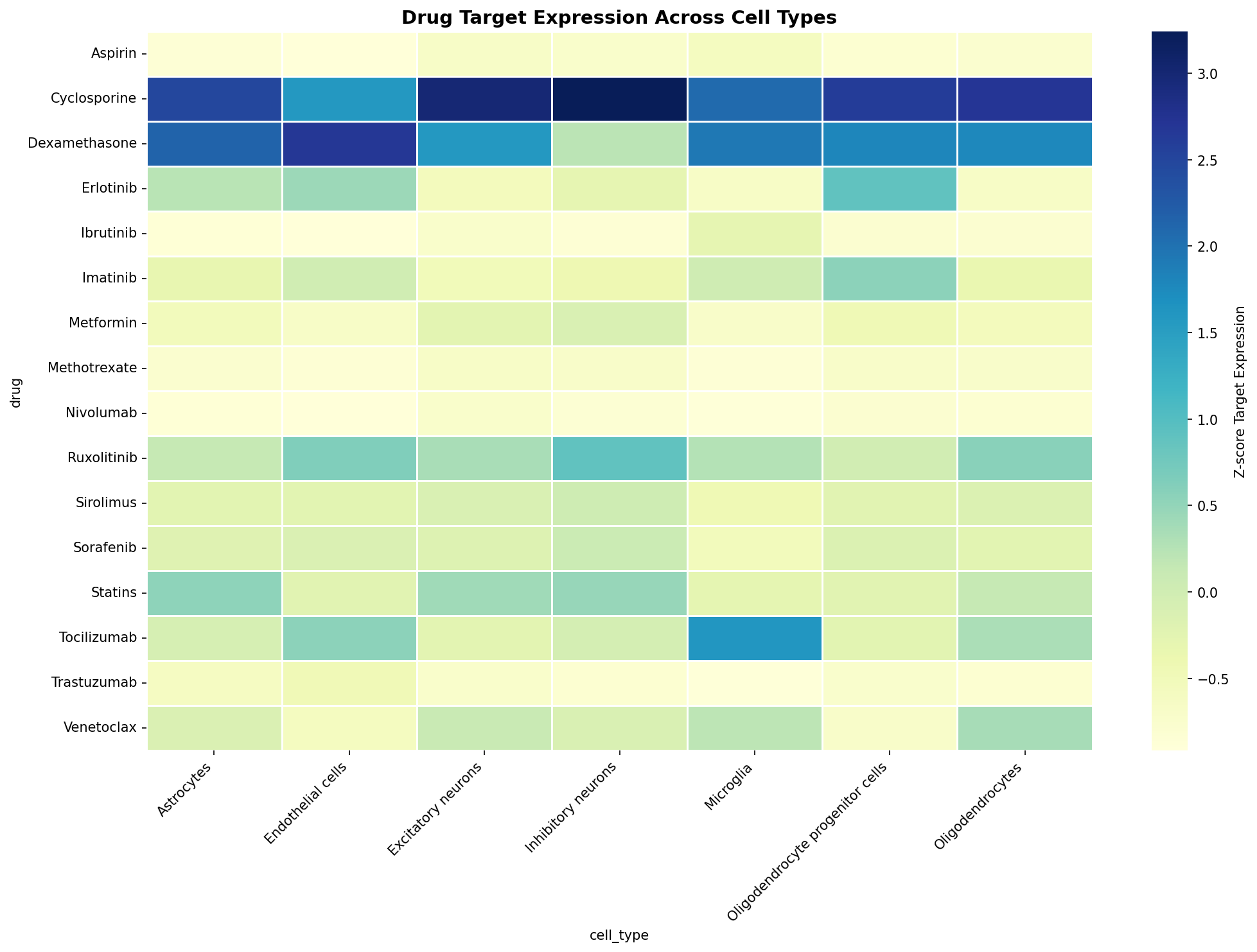 Drug Target Expression Heatmap