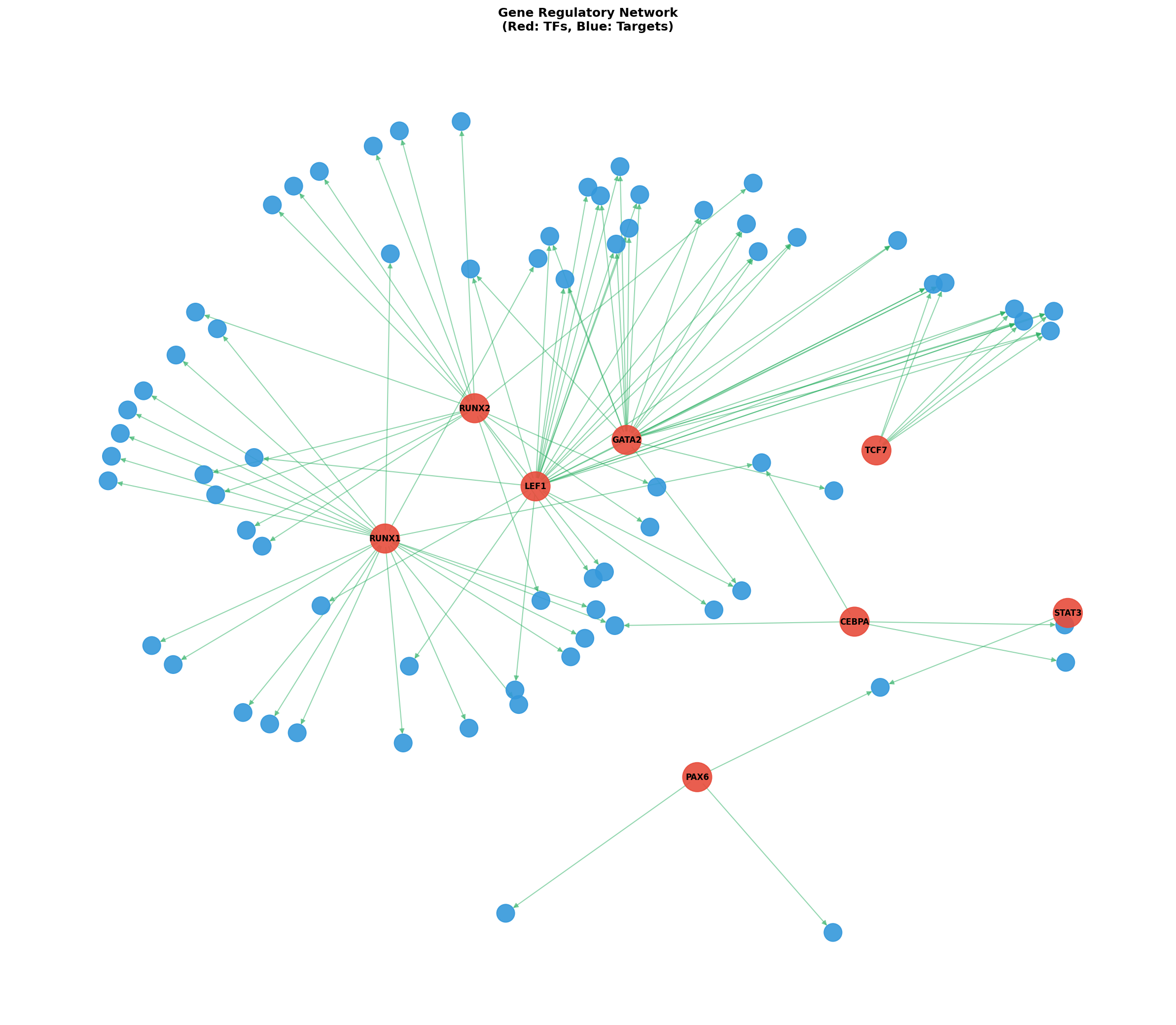 Exploratory TF-Target Association Network