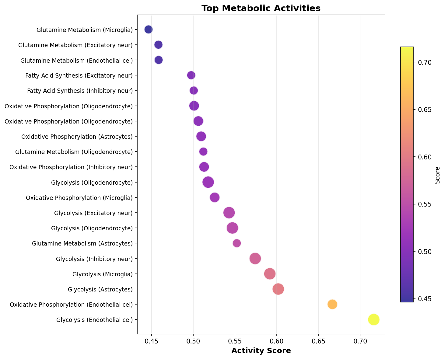 Top Metabolic Activities