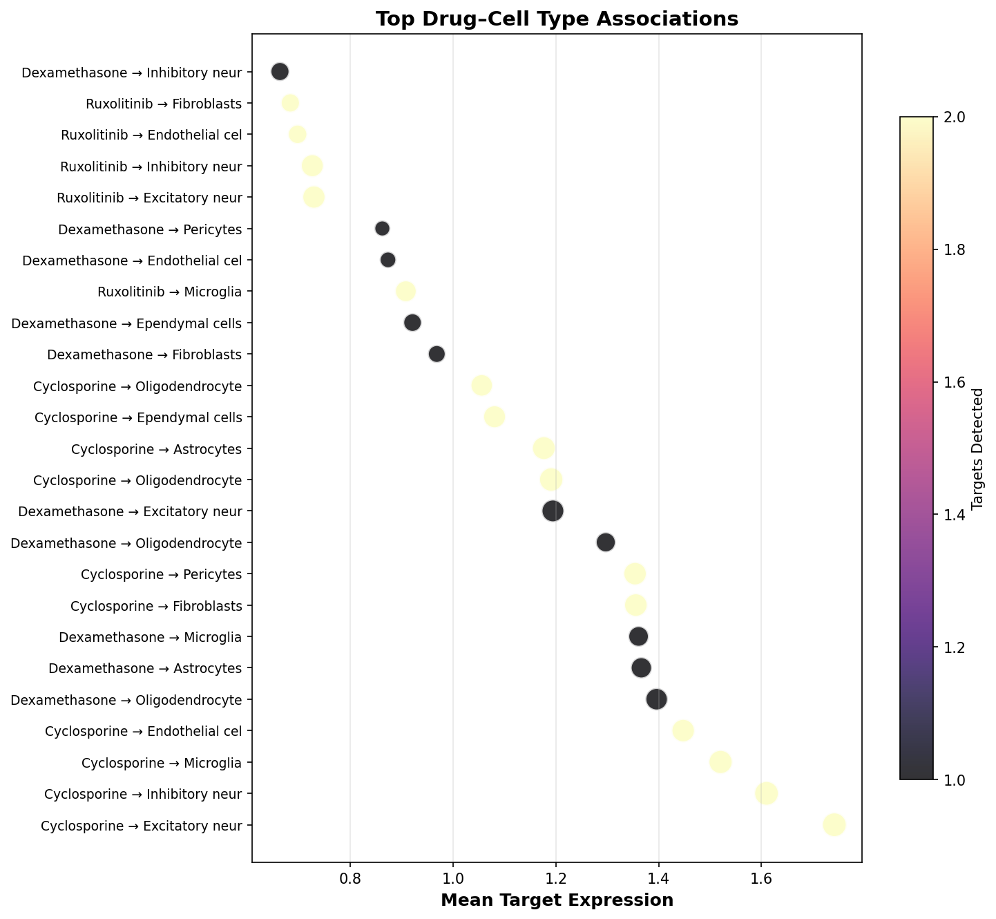 Top Drug–Cell Type Associations