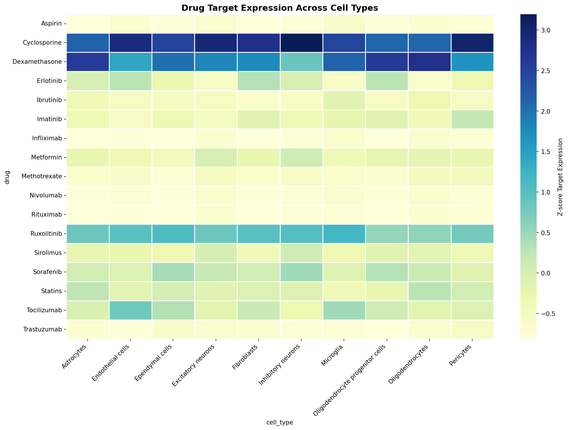 Drug Target Expression Heatmap