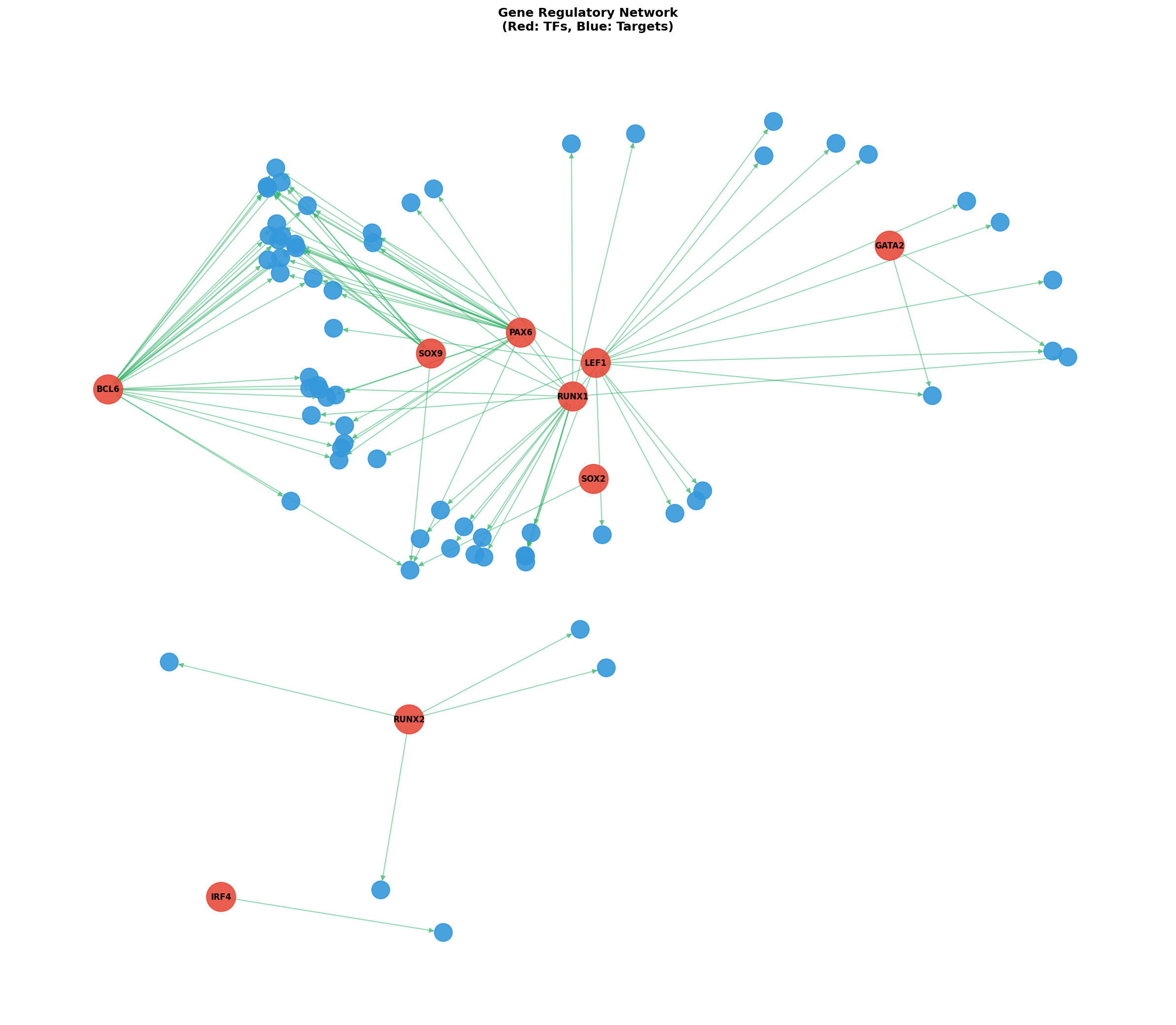 Exploratory TF-Target Association Network