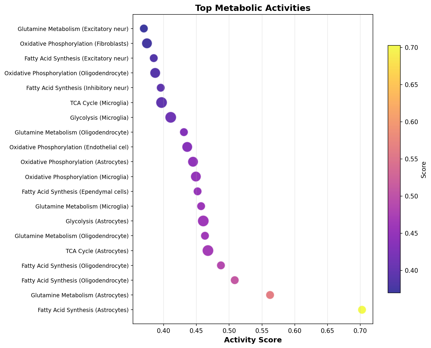 Top Metabolic Activities