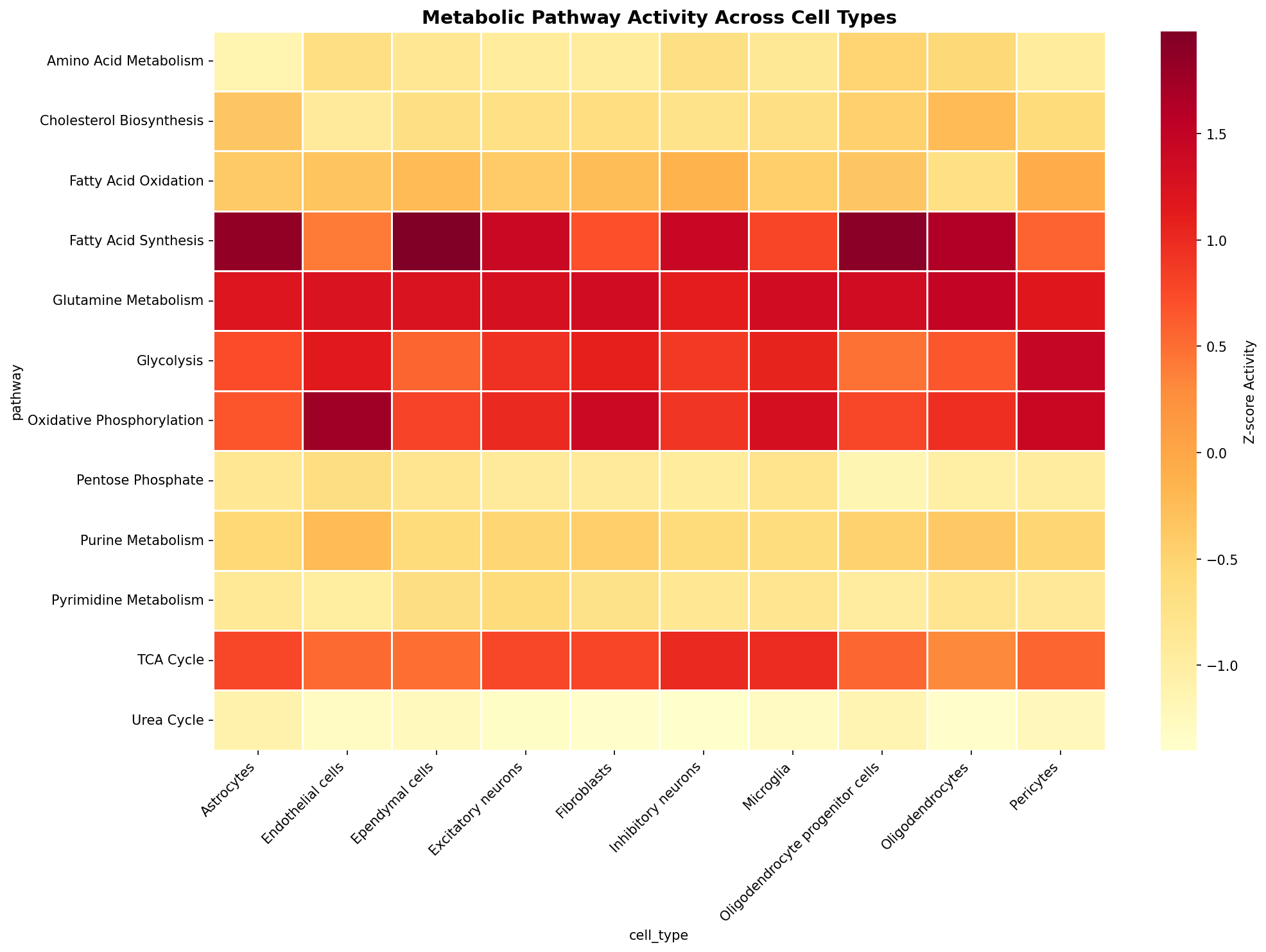 Metabolic Pathway Heatmap