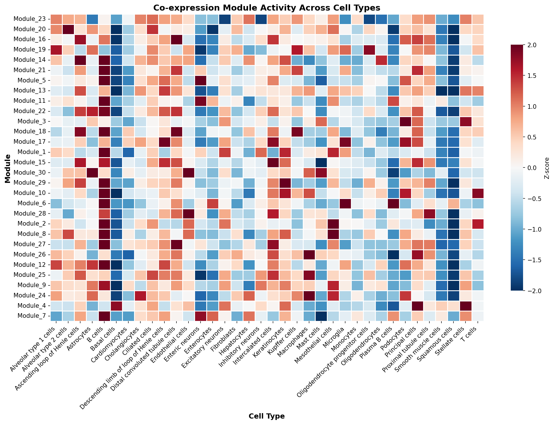 Module-Cell Type Association