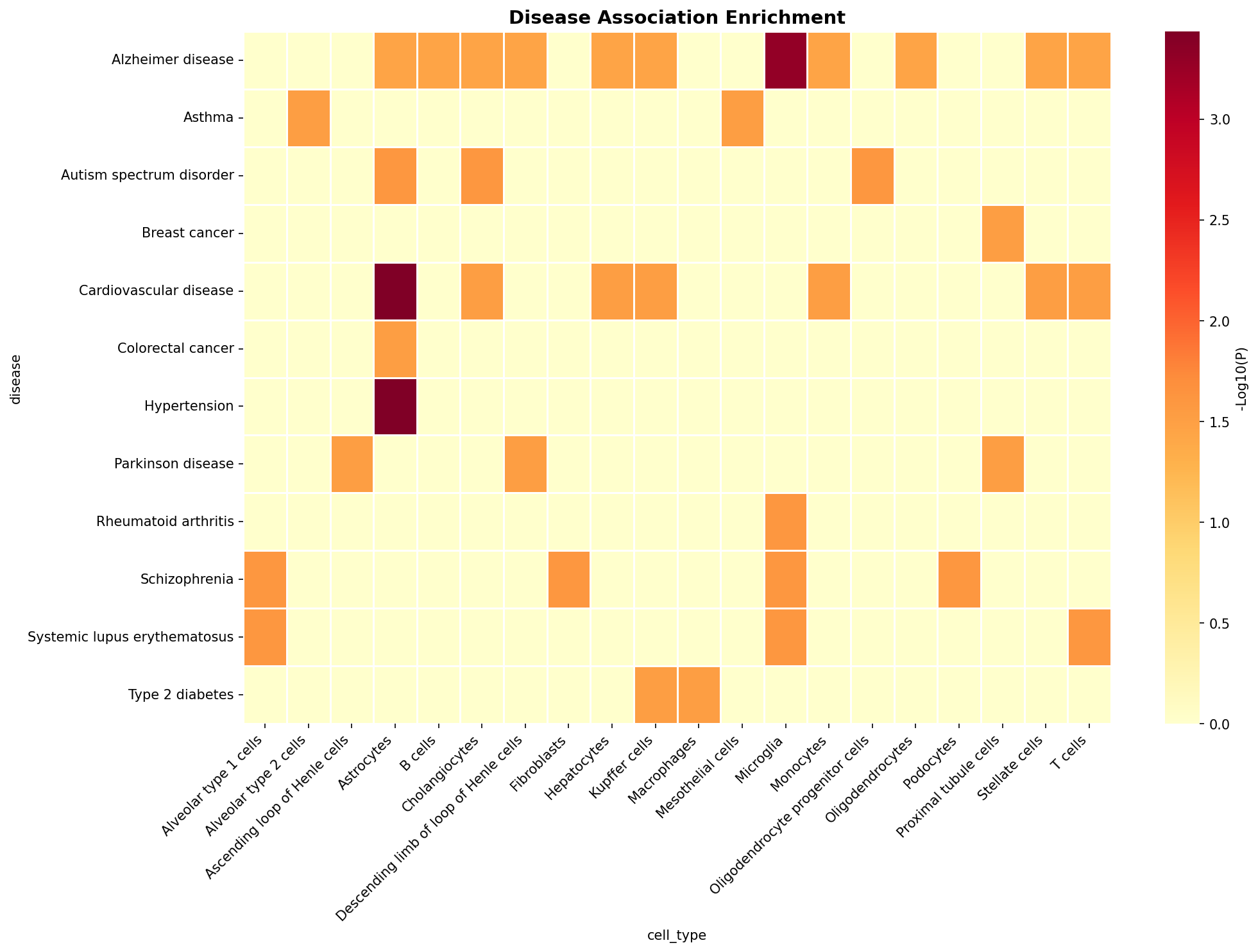 Disease Association Heatmap