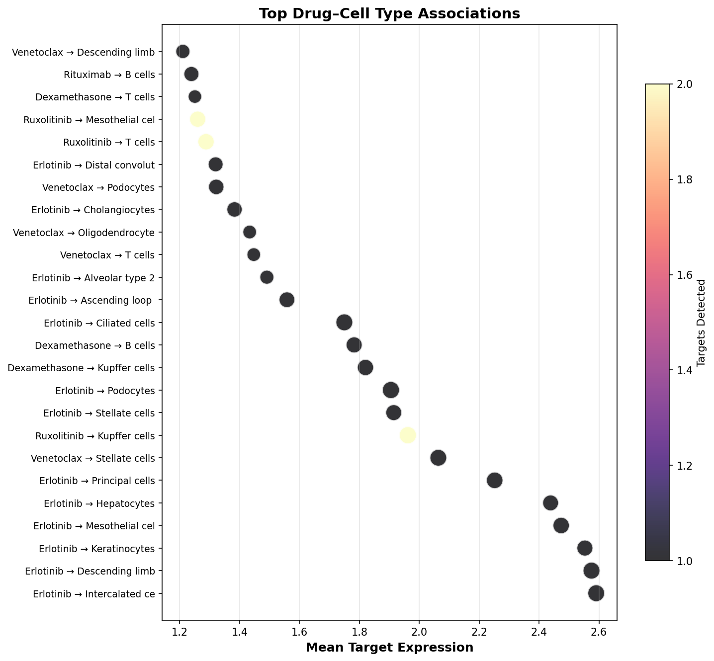 Top Drug–Cell Type Associations