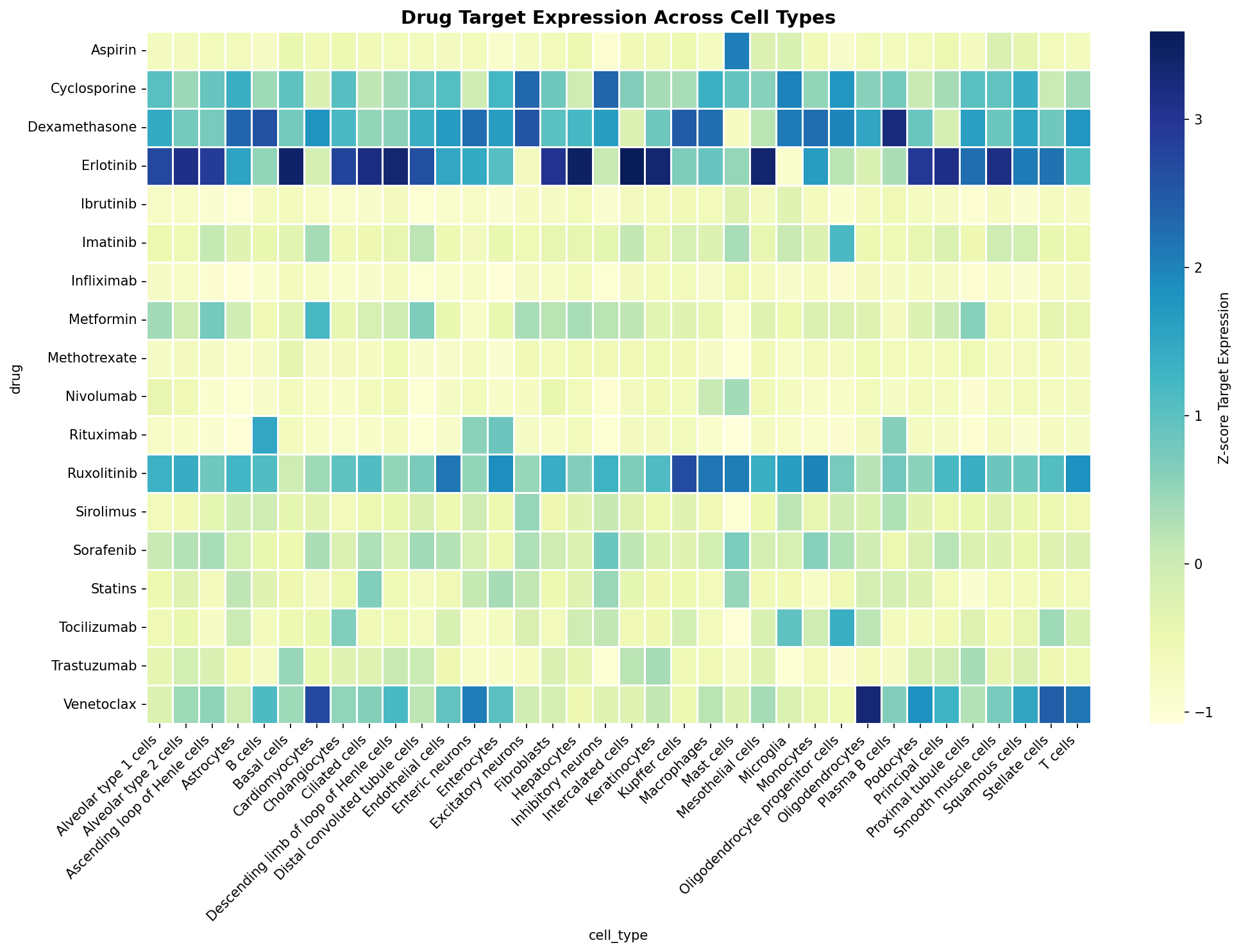 Drug Target Expression Heatmap