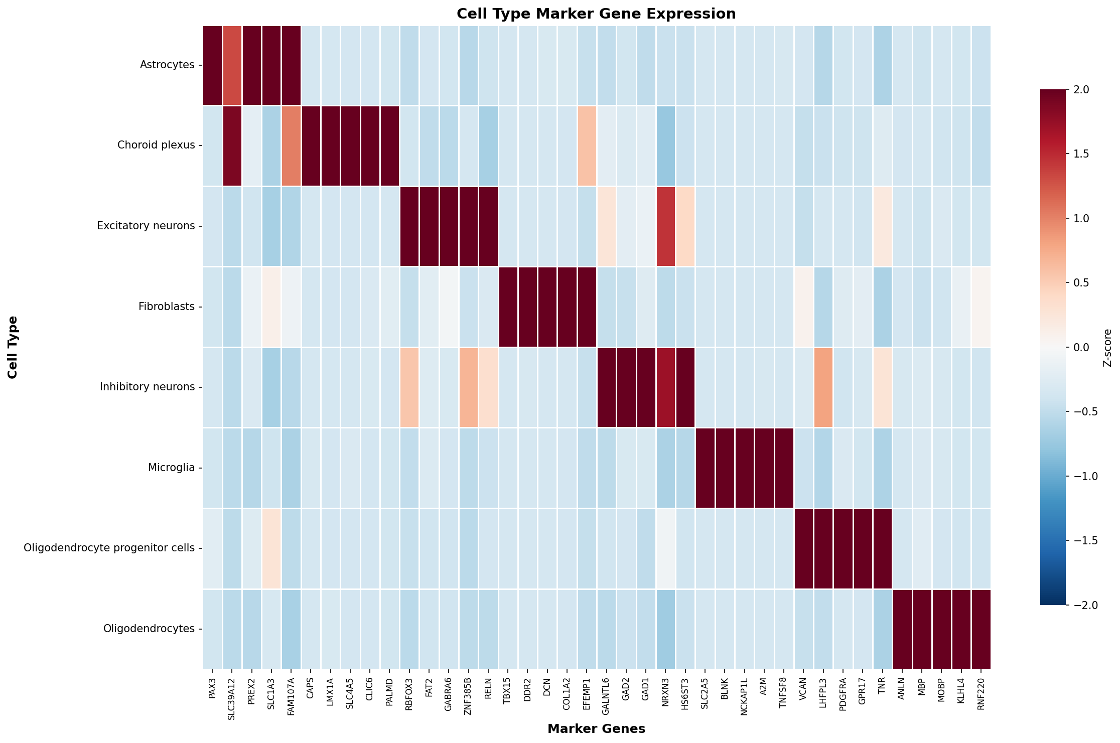 Marker Gene Heatmap