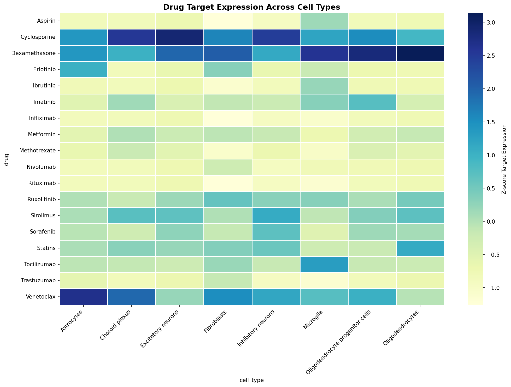 Drug Target Expression Heatmap
