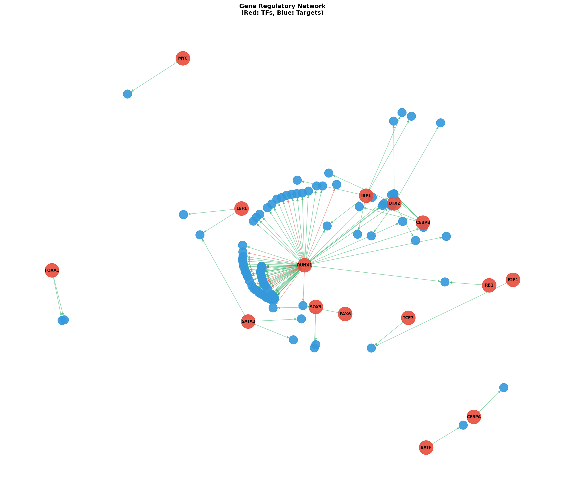 Exploratory TF-Target Association Network