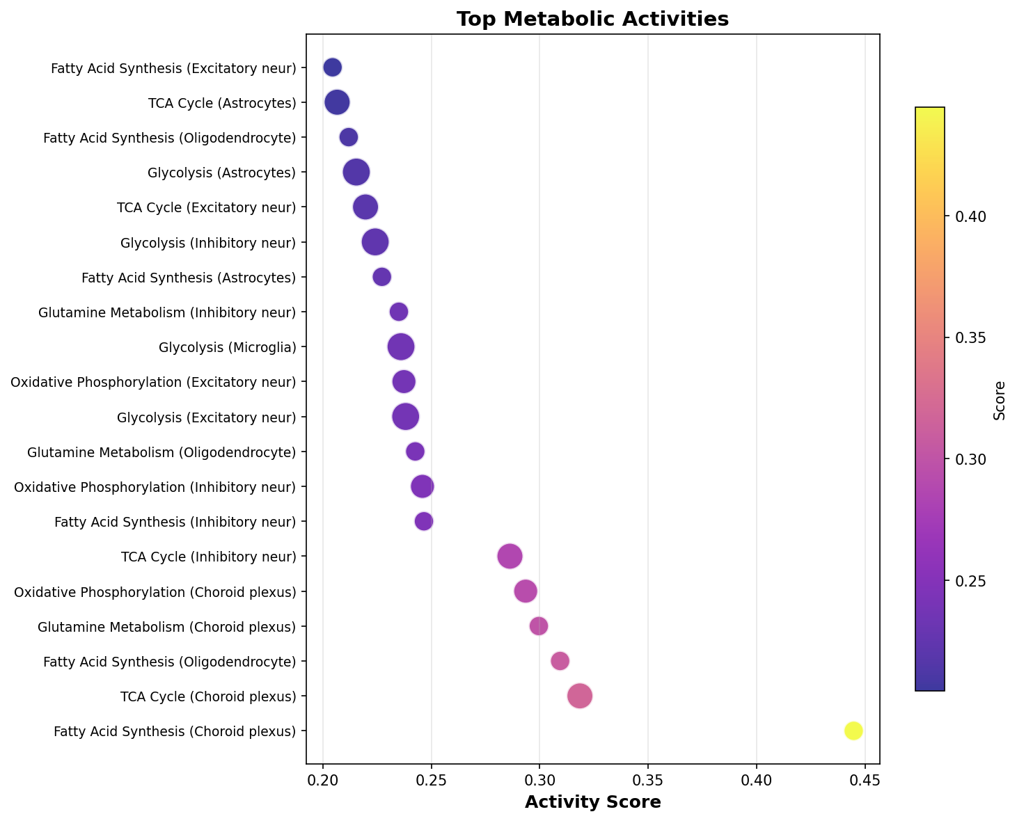 Top Metabolic Activities