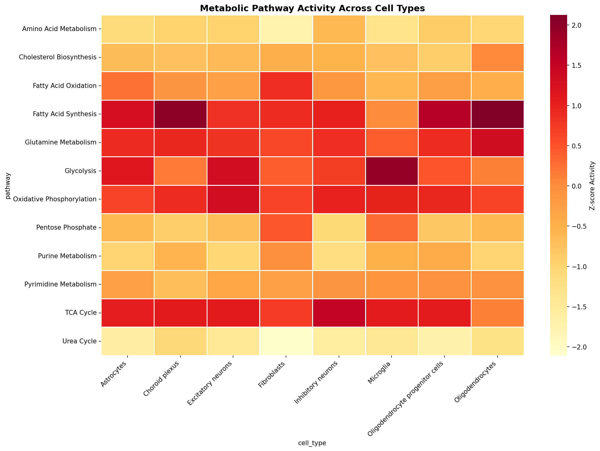 Metabolic Pathway Heatmap