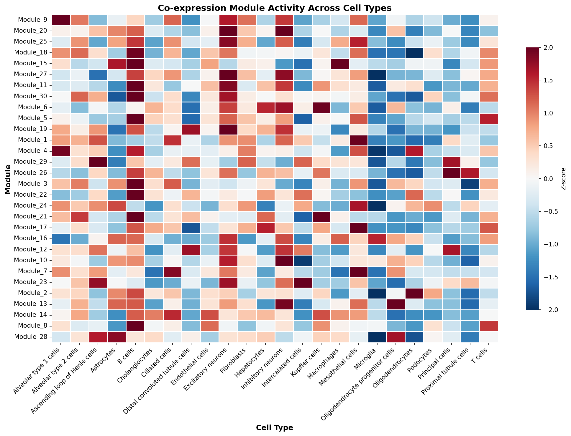 Module-Cell Type Association
