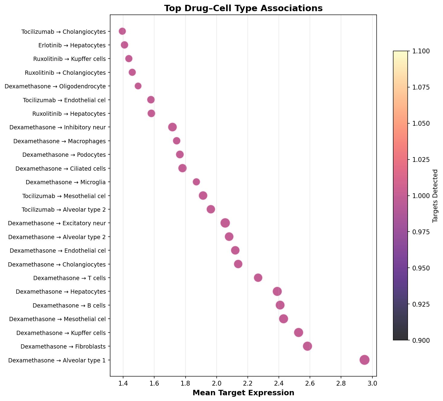 Top Drug–Cell Type Associations