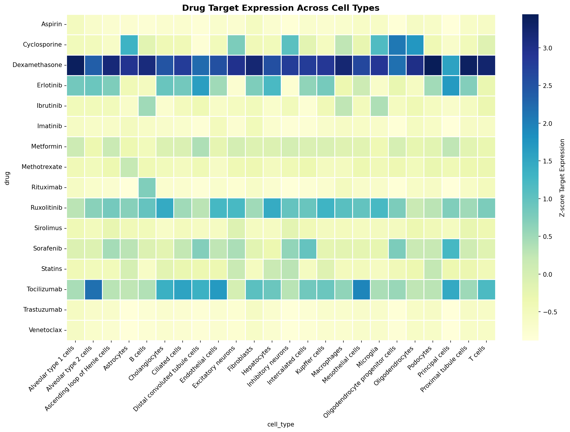 Drug Target Expression Heatmap