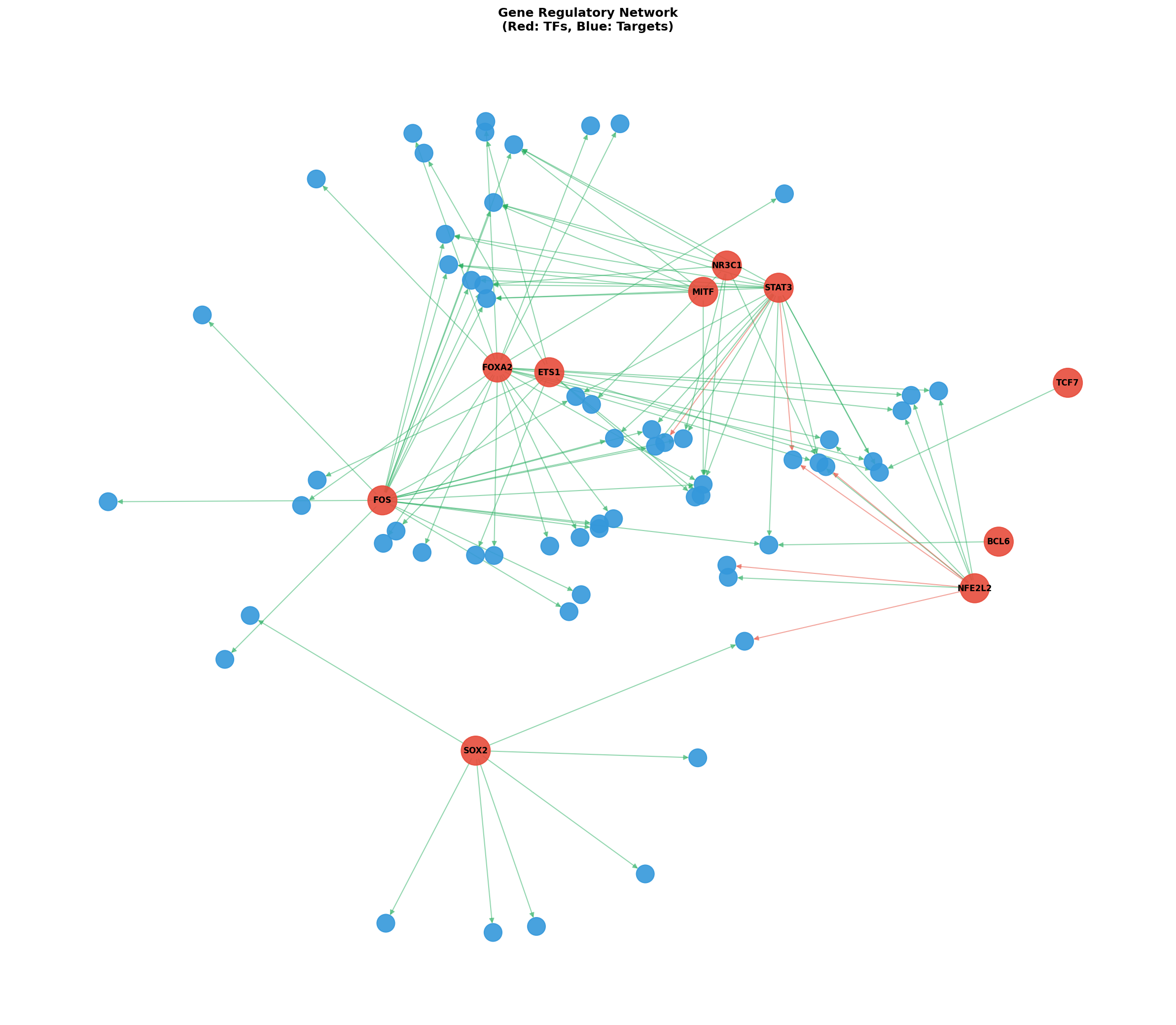 Exploratory TF-Target Association Network
