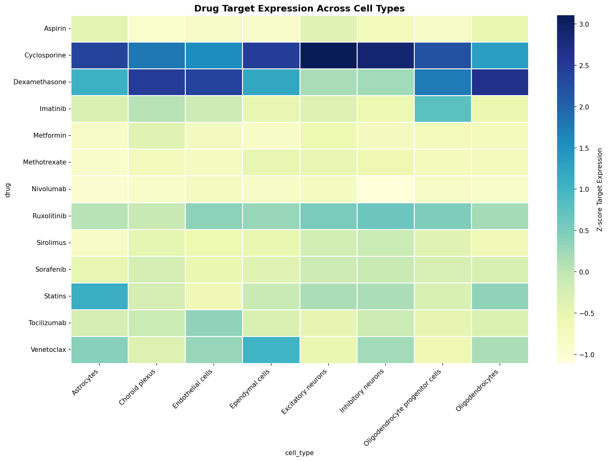 Drug Target Expression Heatmap