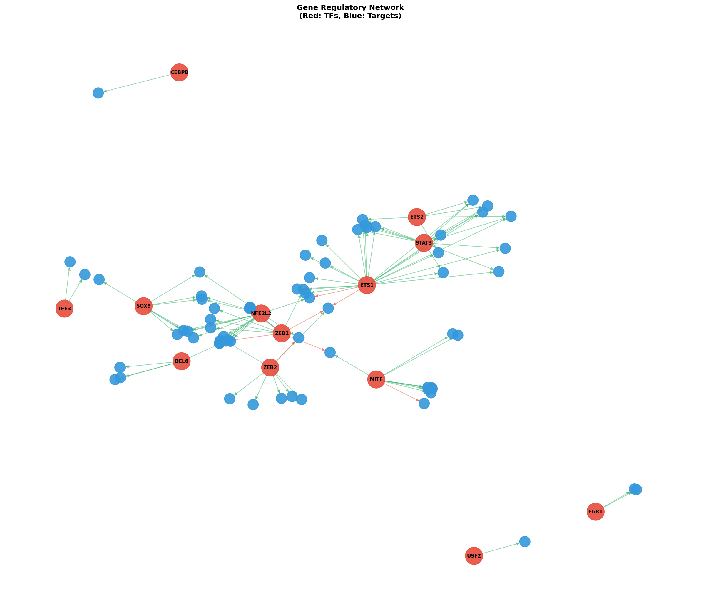 Exploratory TF-Target Association Network