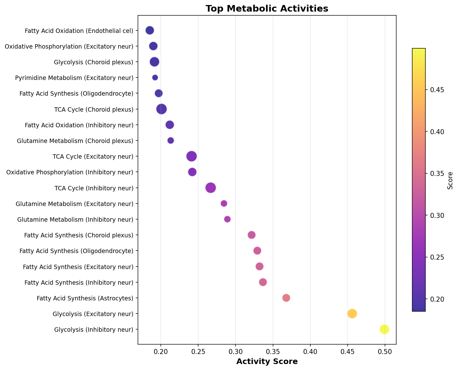 Top Metabolic Activities