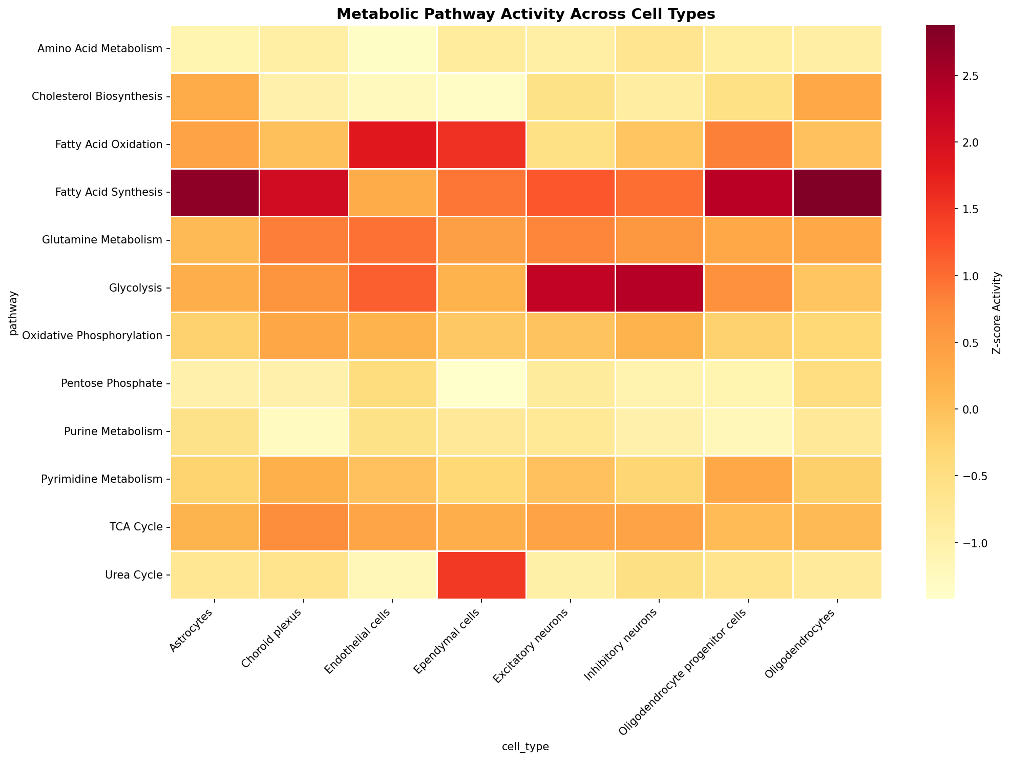 Metabolic Pathway Heatmap