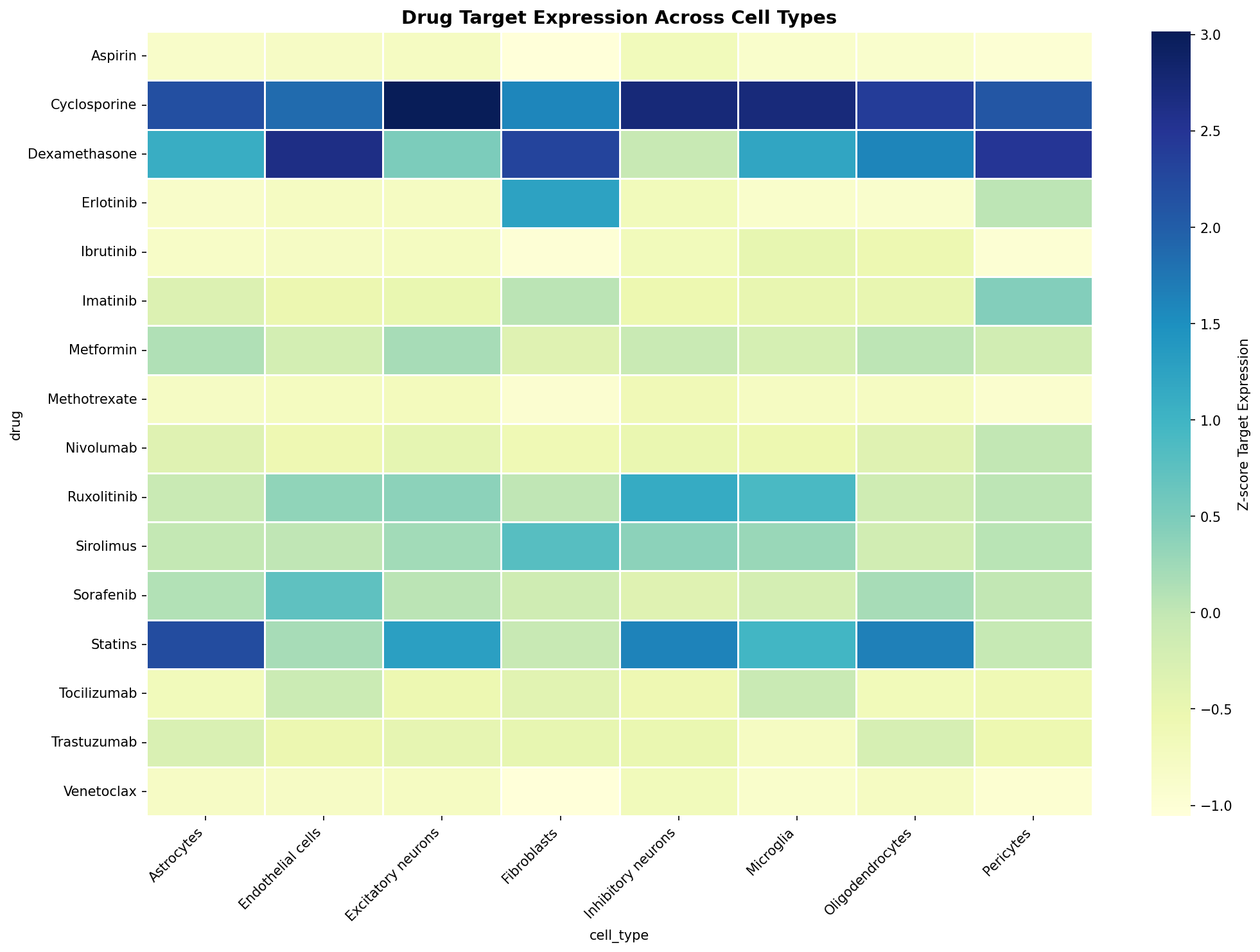 Drug Target Expression Heatmap