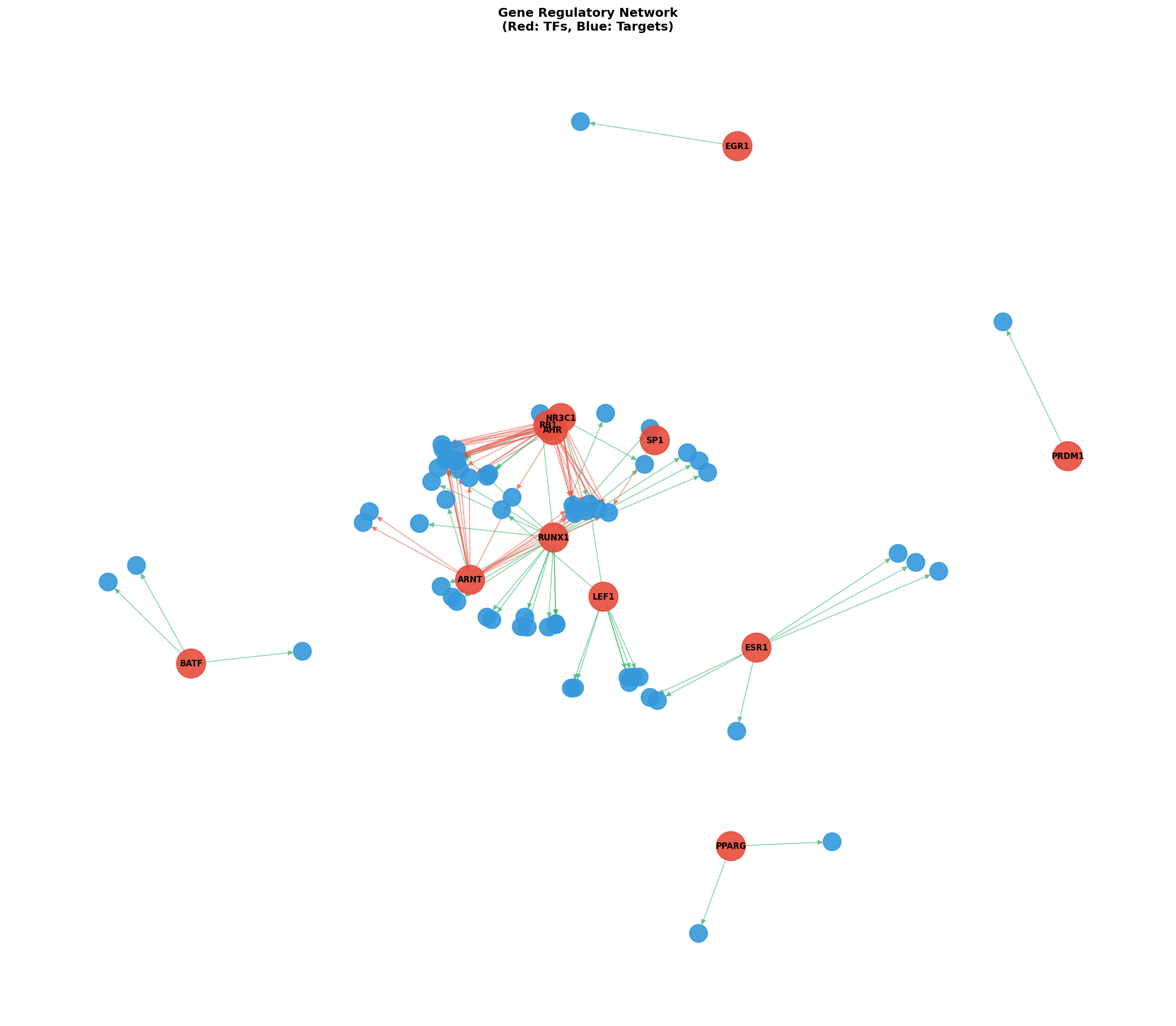 Exploratory TF-Target Association Network