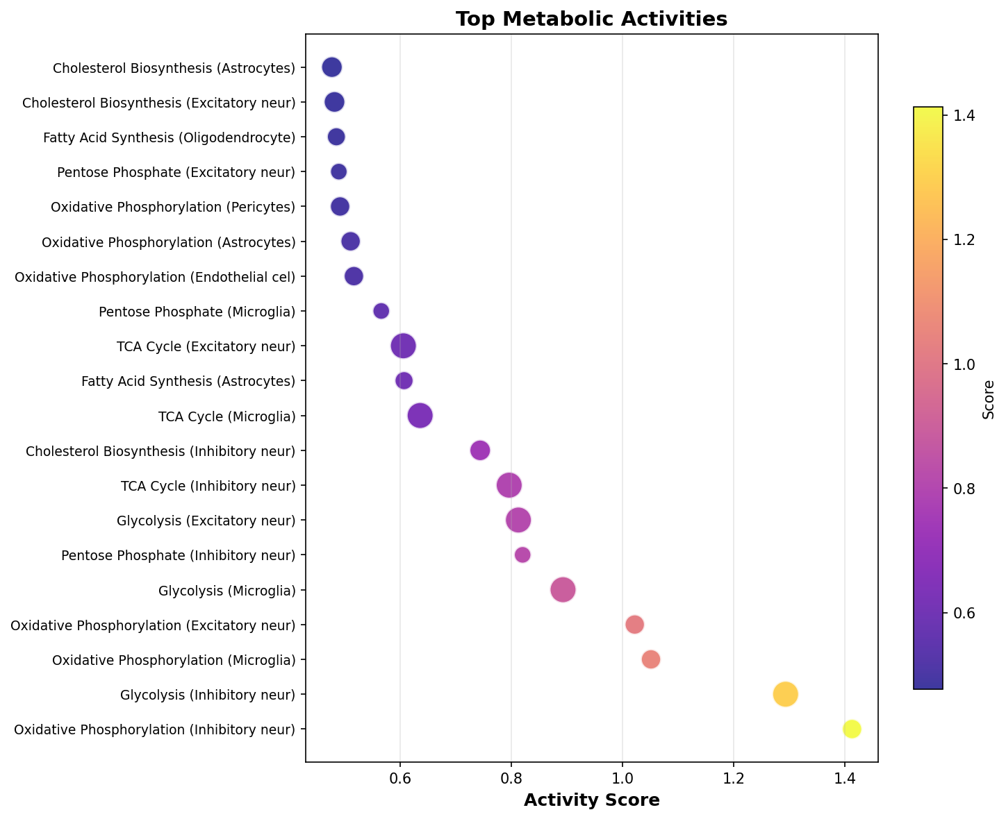 Top Metabolic Activities