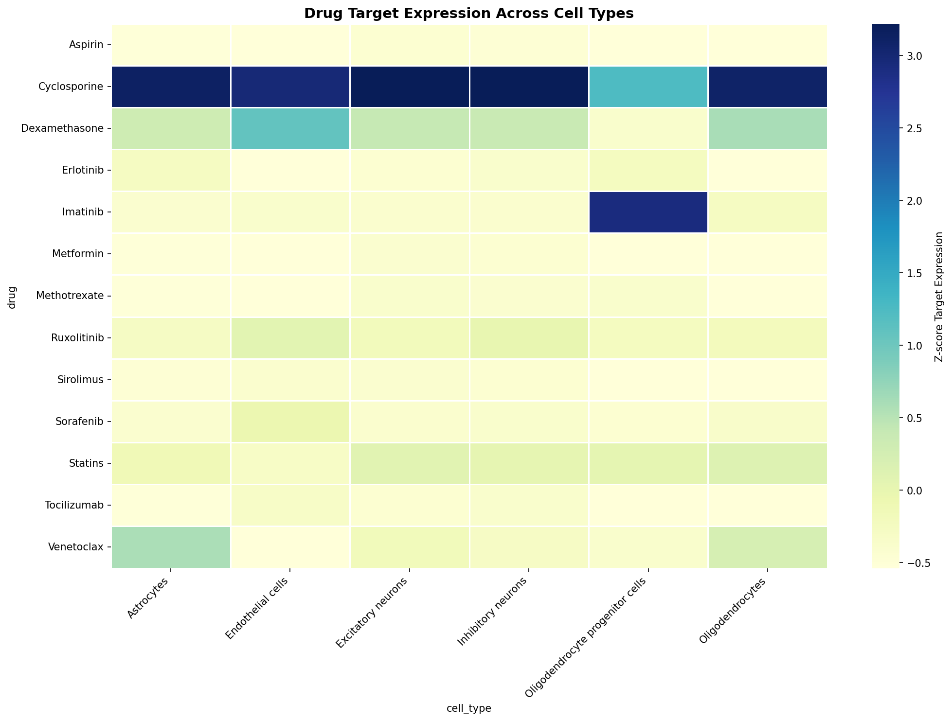 Drug Target Expression Heatmap
