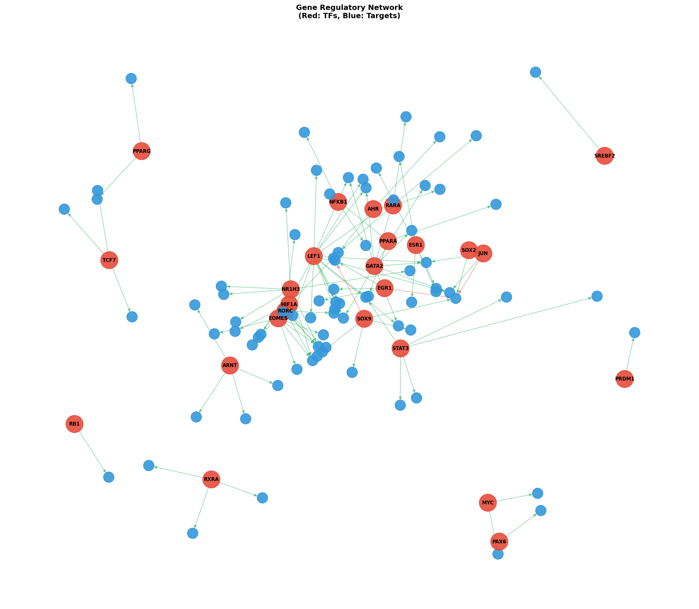 Exploratory TF-Target Association Network