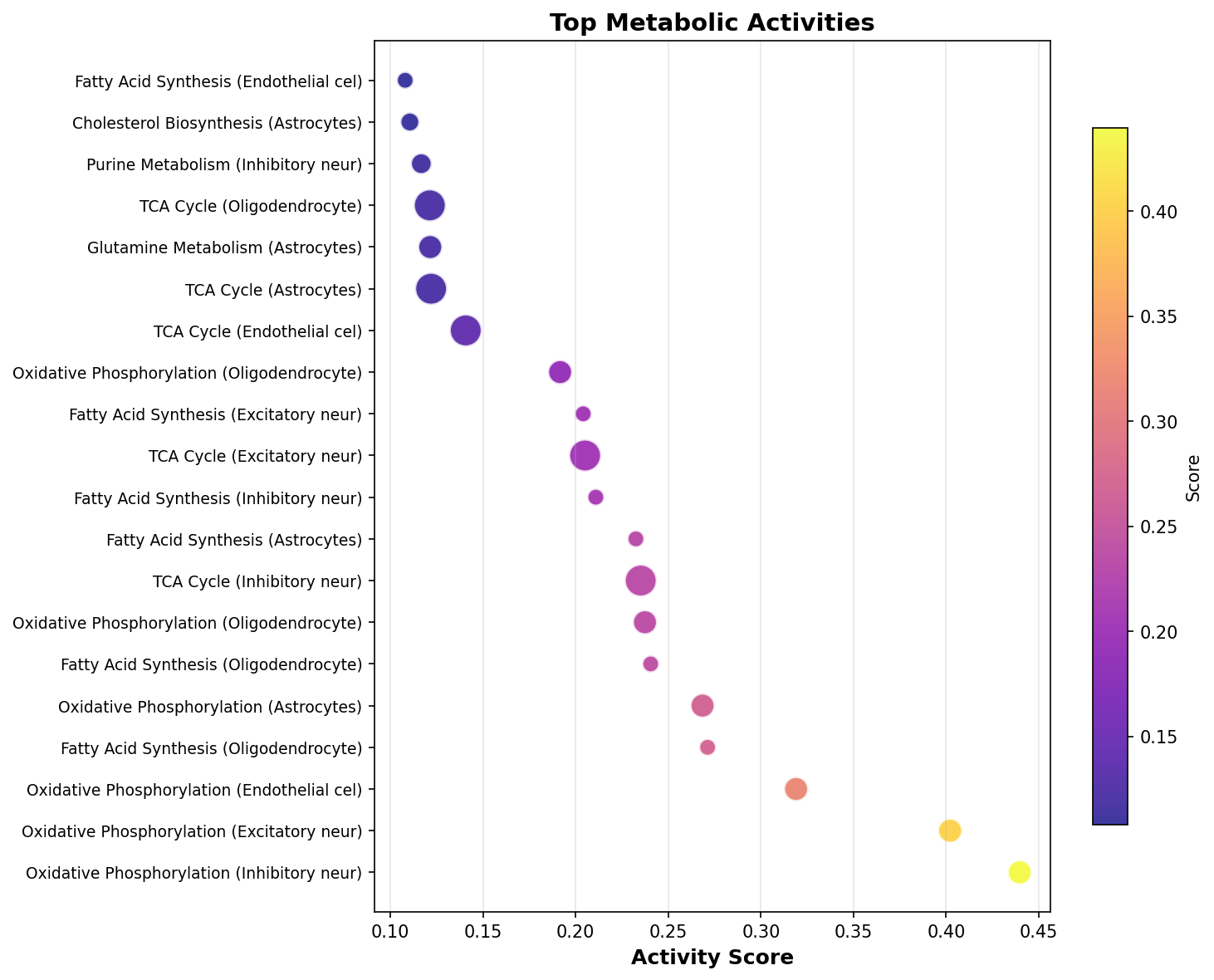 Top Metabolic Activities
